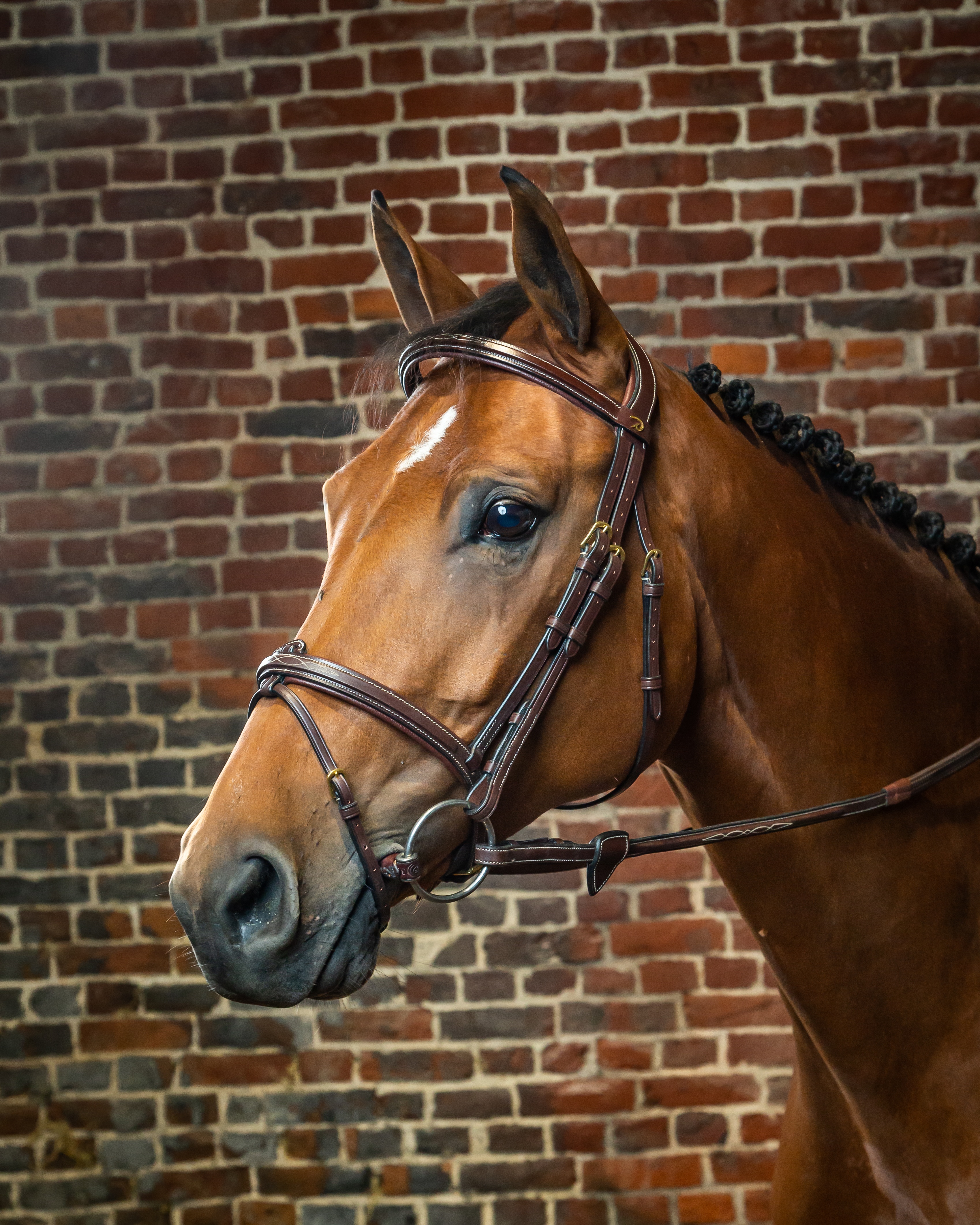 Snaffle combined