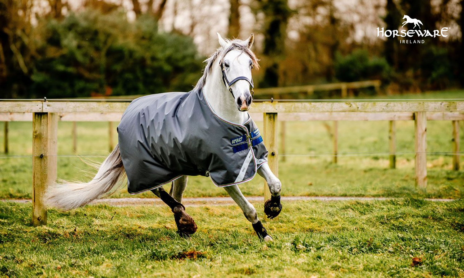 Horseware bei Lepona