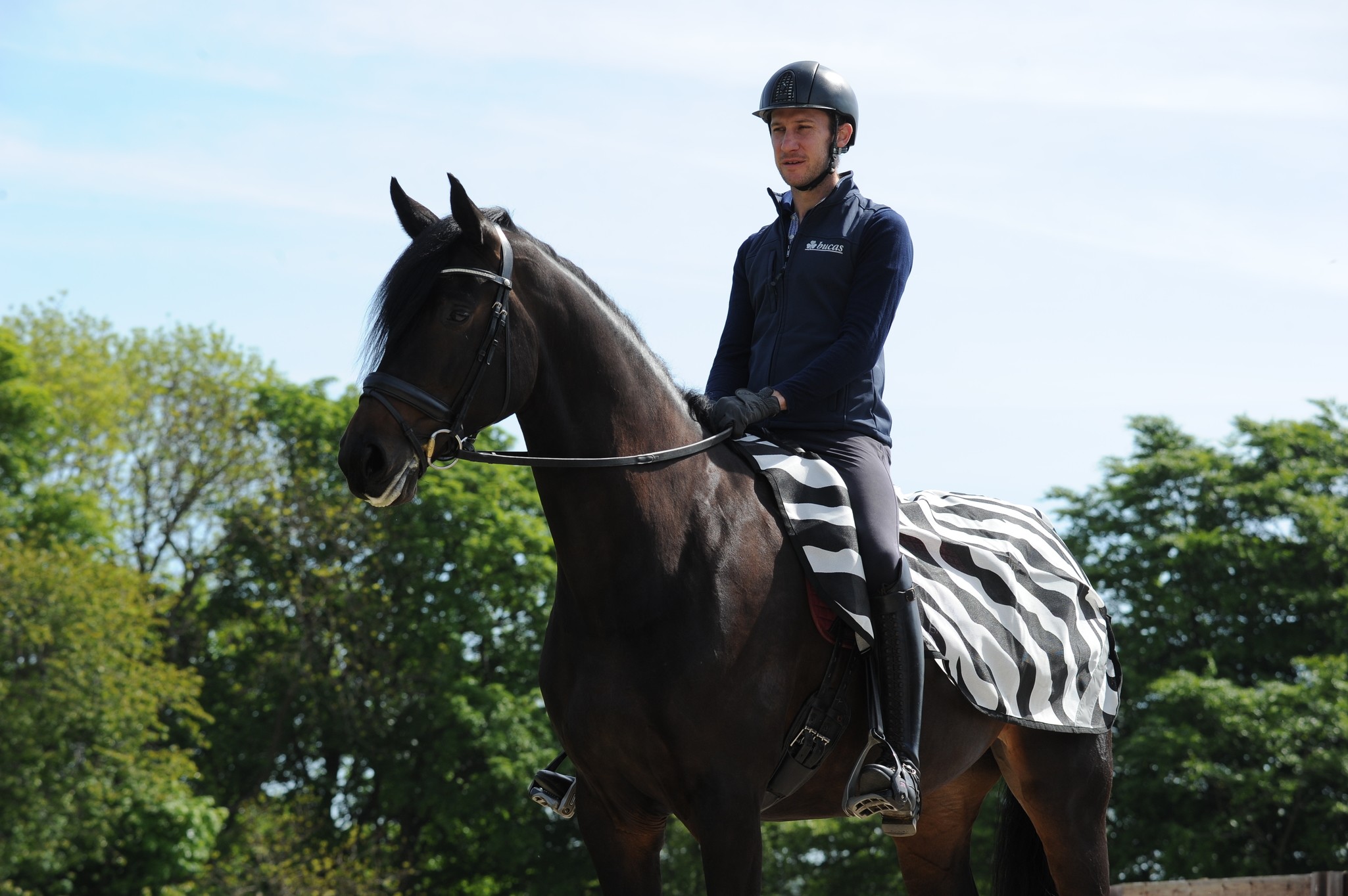 Fliegendecke Buzz-Off Riding in Zebra/Black