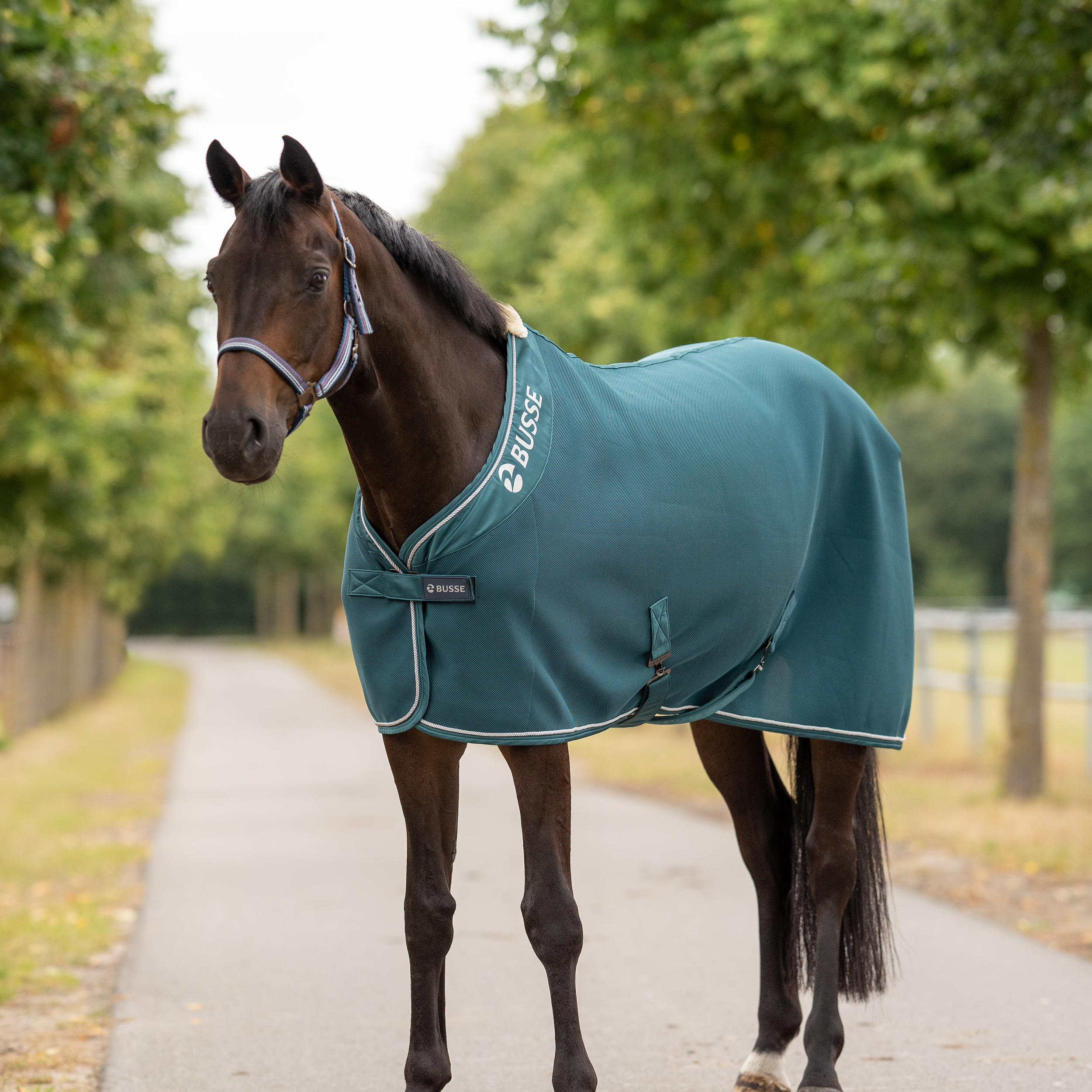 Chemise séchante 3D Air Premium