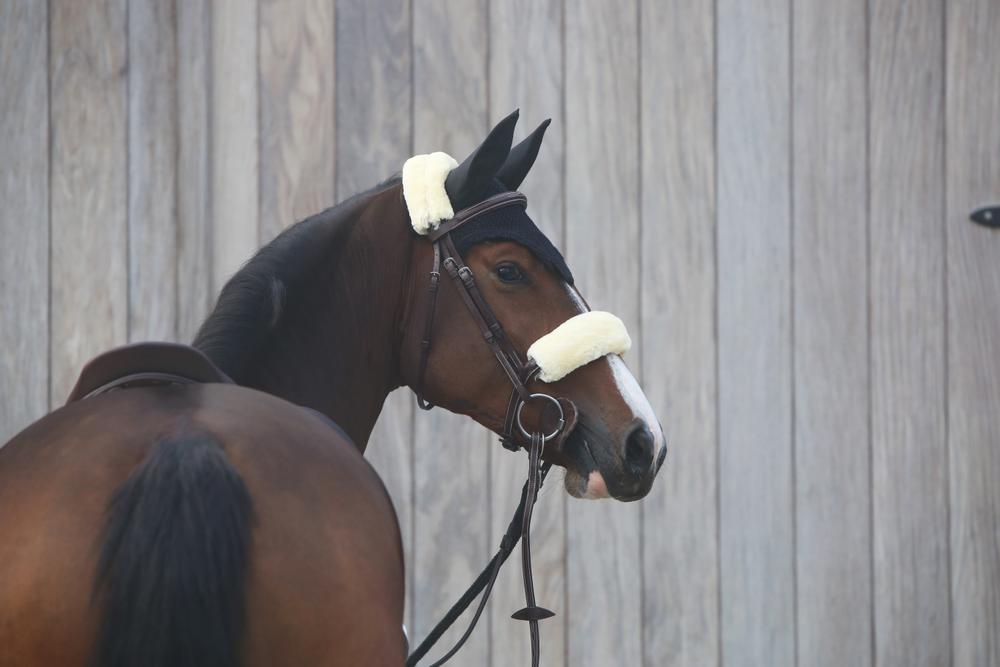 Fliegenhaube