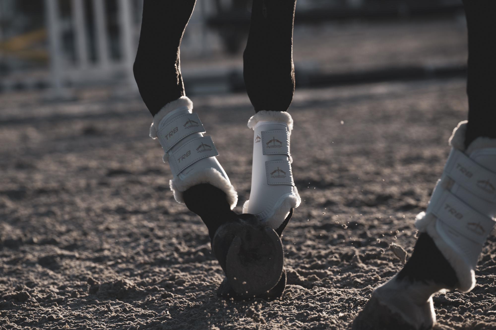 Gamaschen TRB Save the Sheep Front