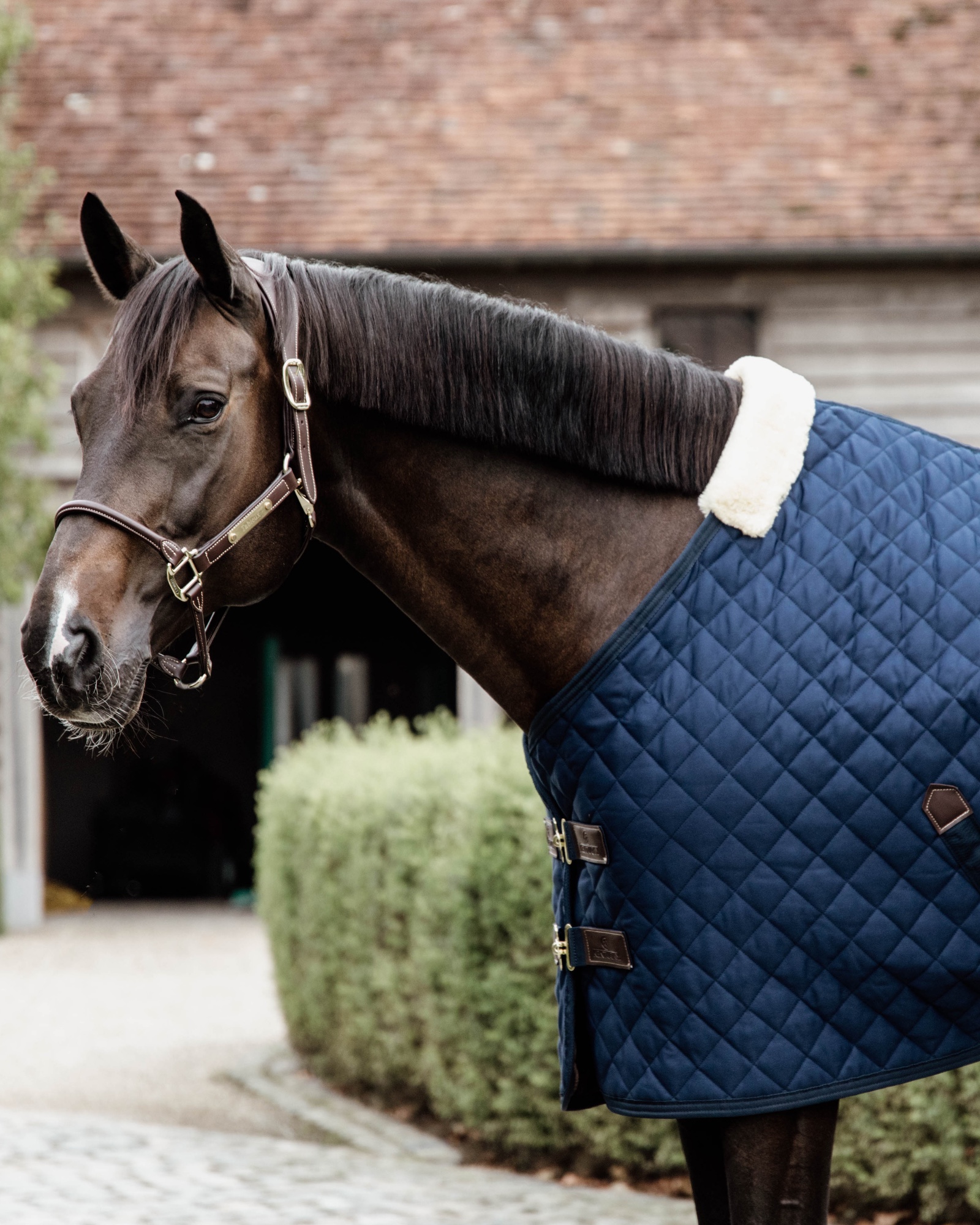 Stable blanket 200g