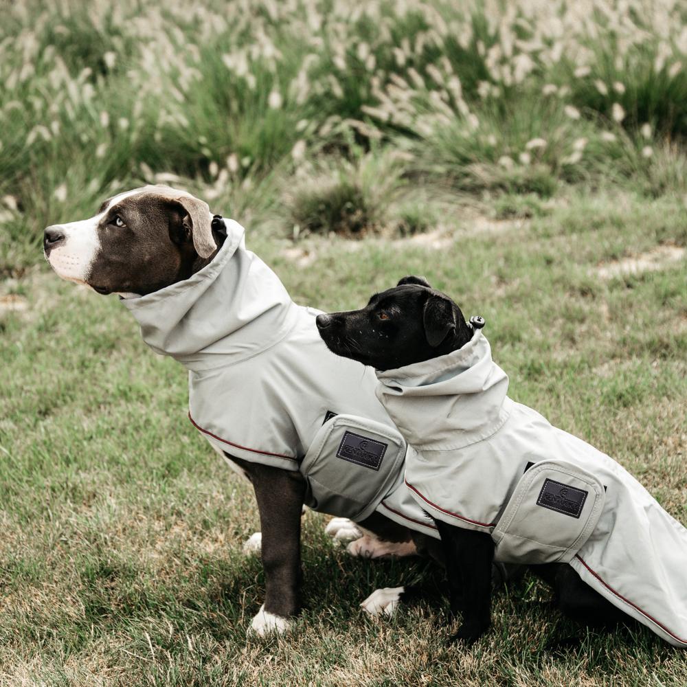 Hunde Regenjacke