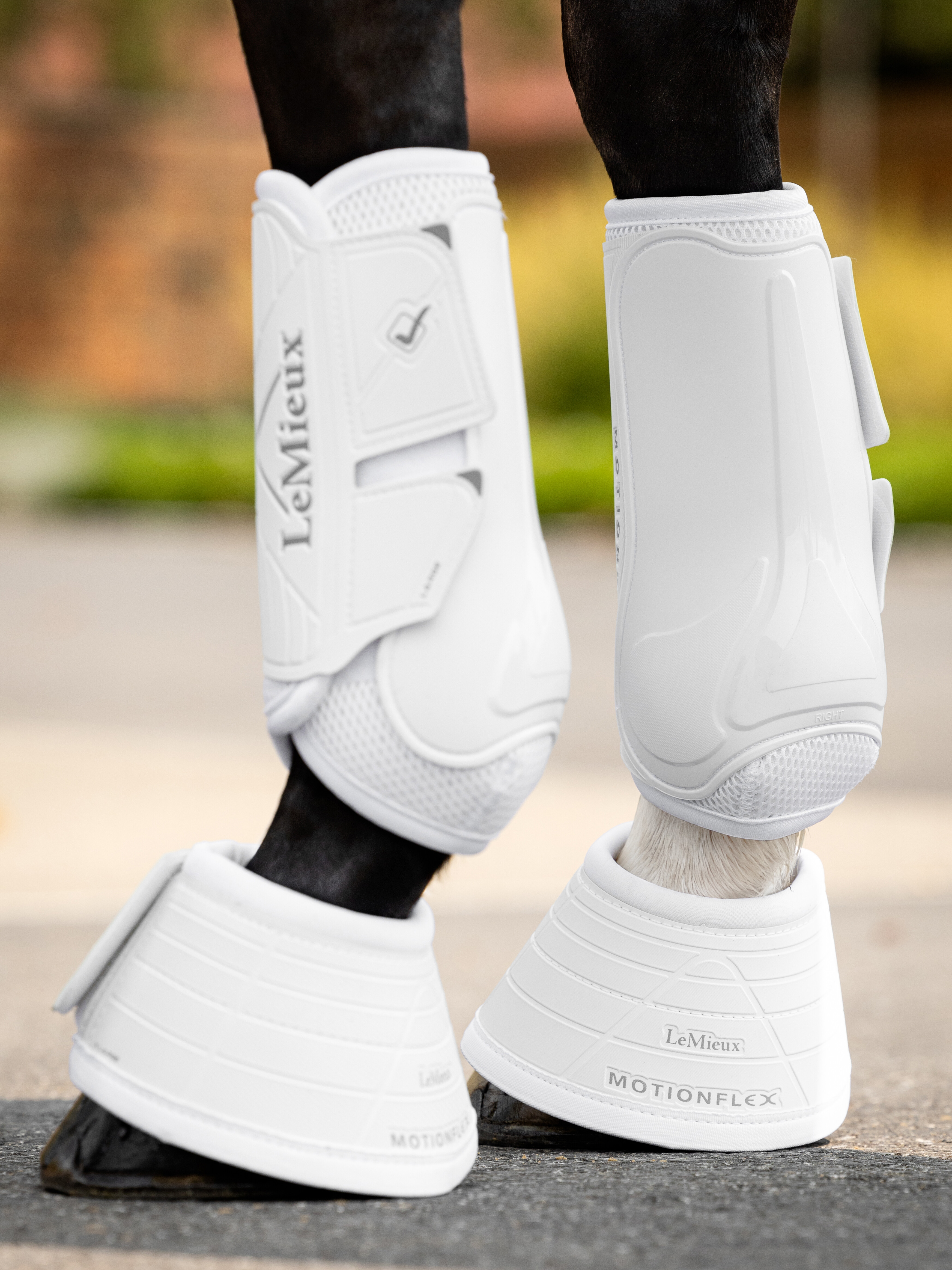 Motionflex dressage boots