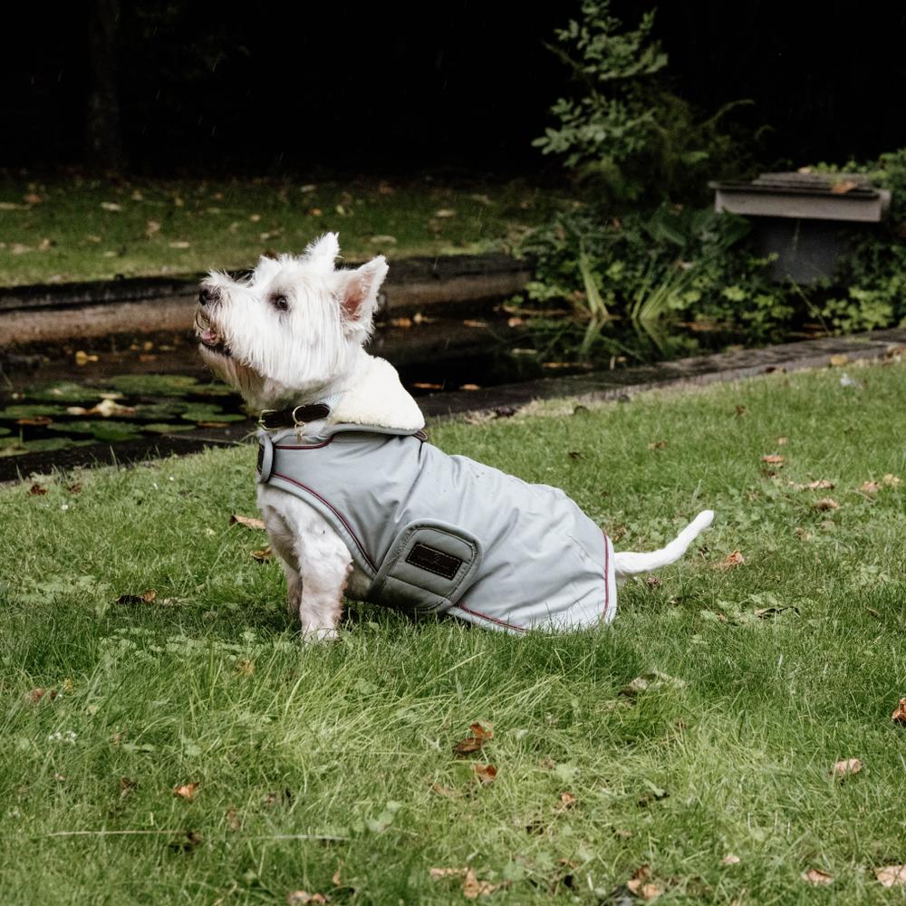 Manteau pour chien imperméable 160g