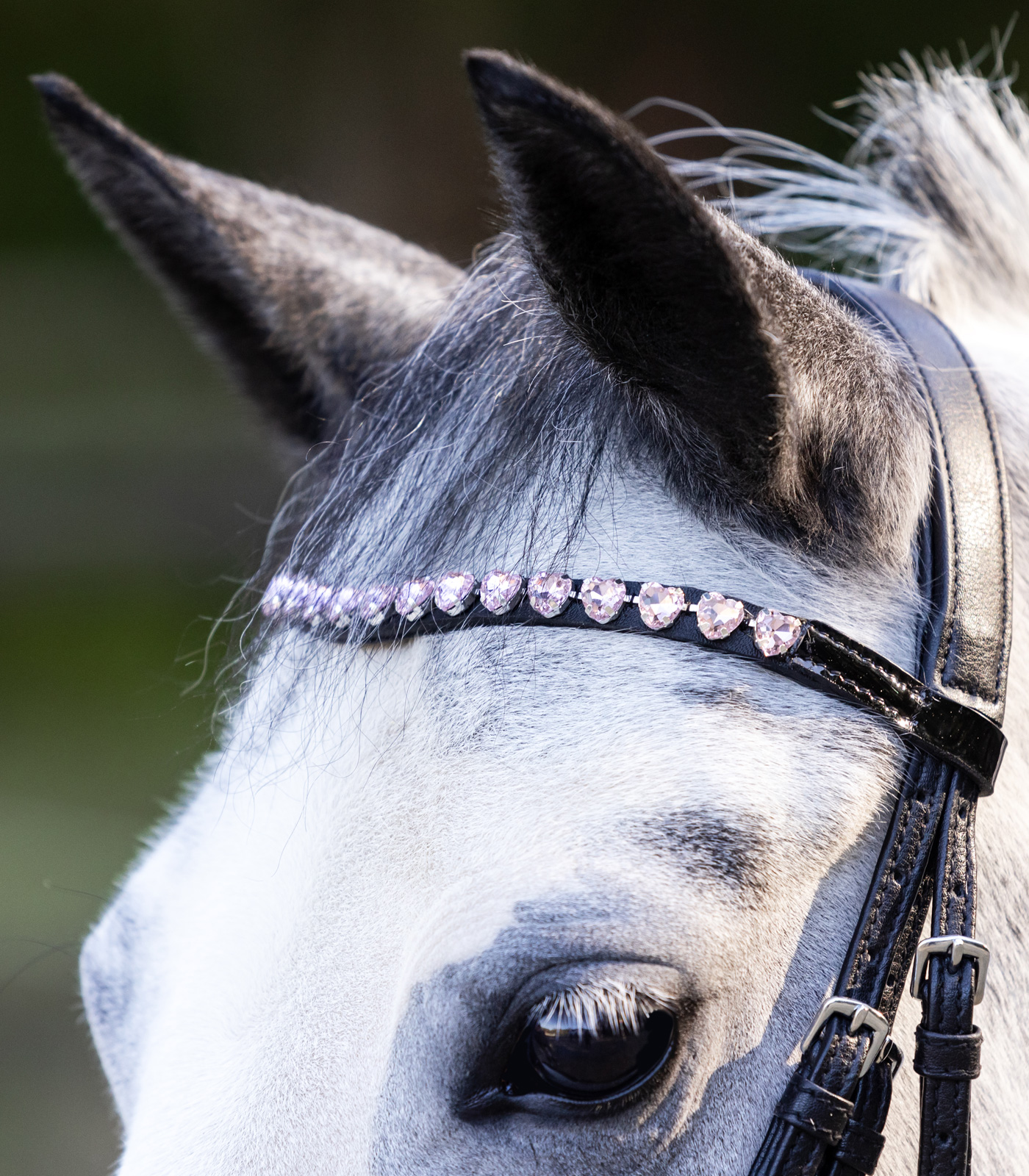 Trensenzaum Happy Hearts