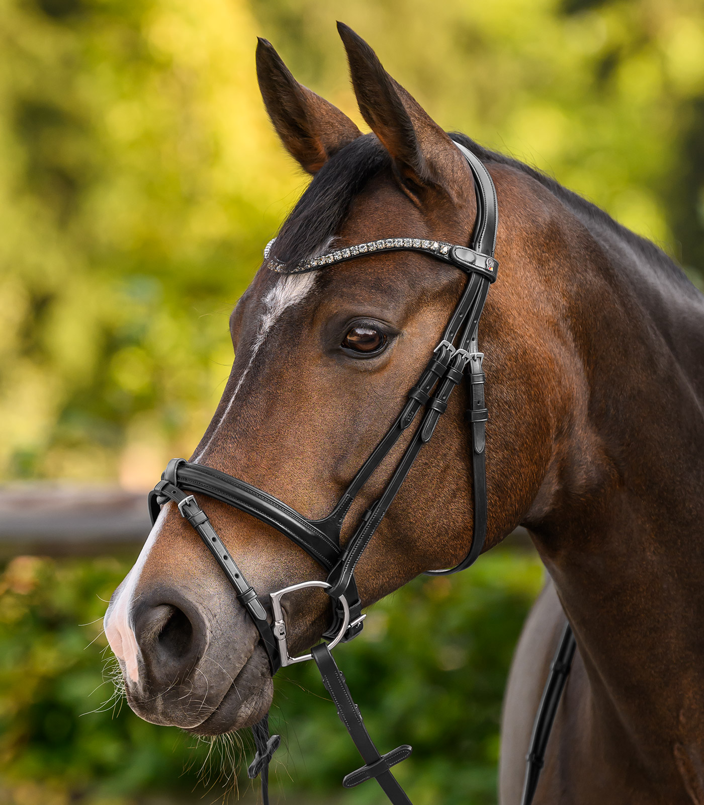 X-Line Browband Shine, black