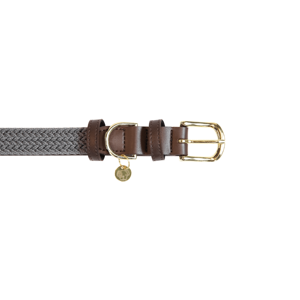 Collier de chien tressé en nylon