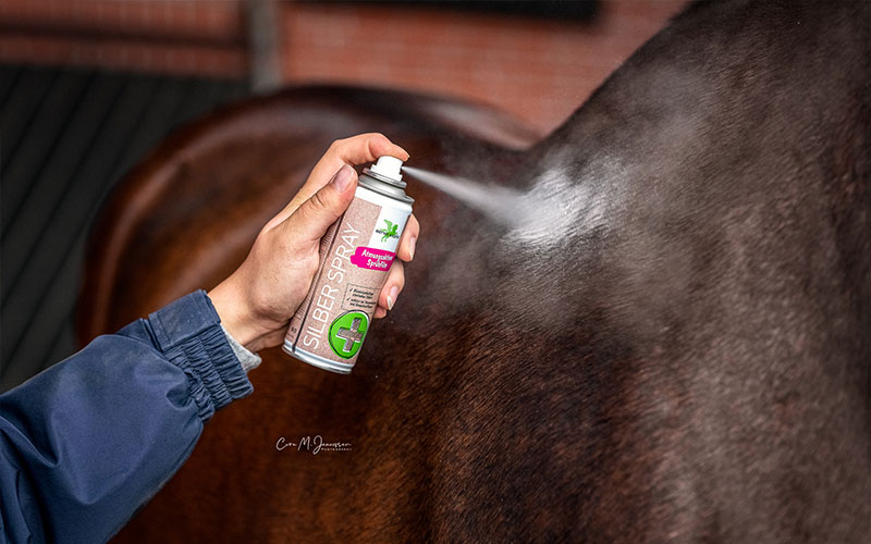 Stallapotheke Hand mit Silber-Spray, das auf Pferd gesprüht wird