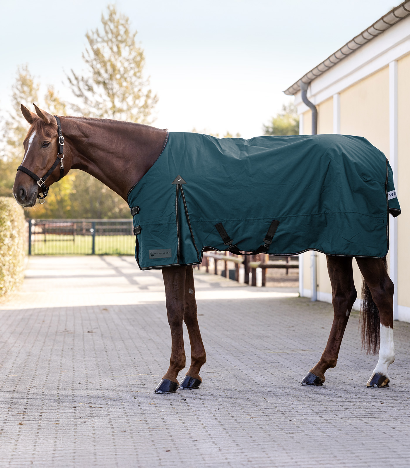 Outdoordecke Arctic, 300 g