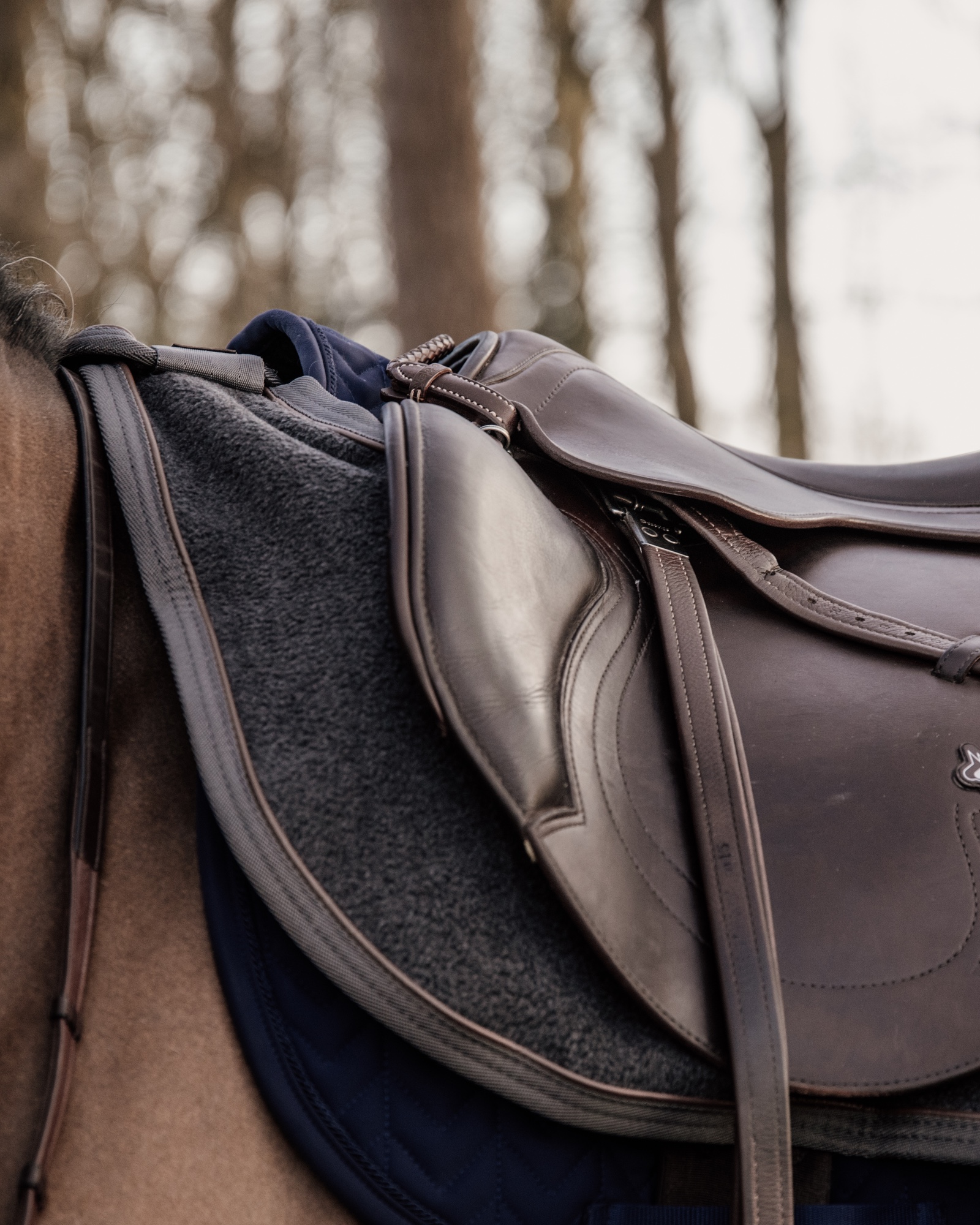 Riding rug heavy fleece