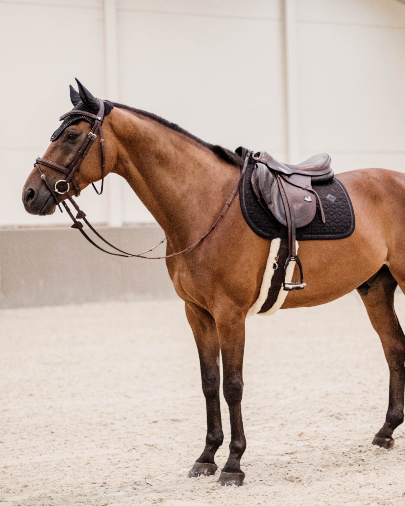 Jumping saddle pad Glitter Rope