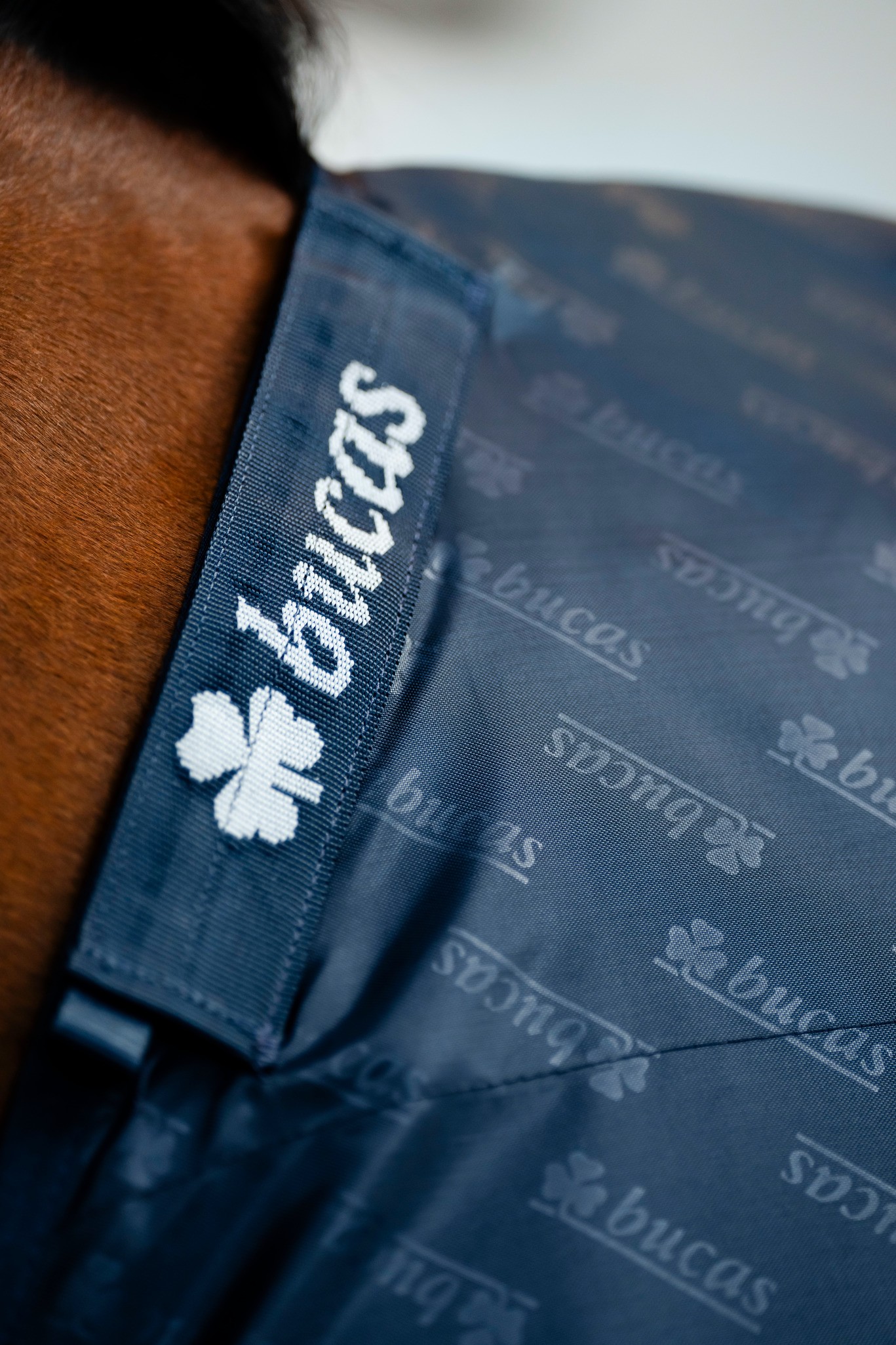 Stalldecke Stable Sheet in Navy/Navy