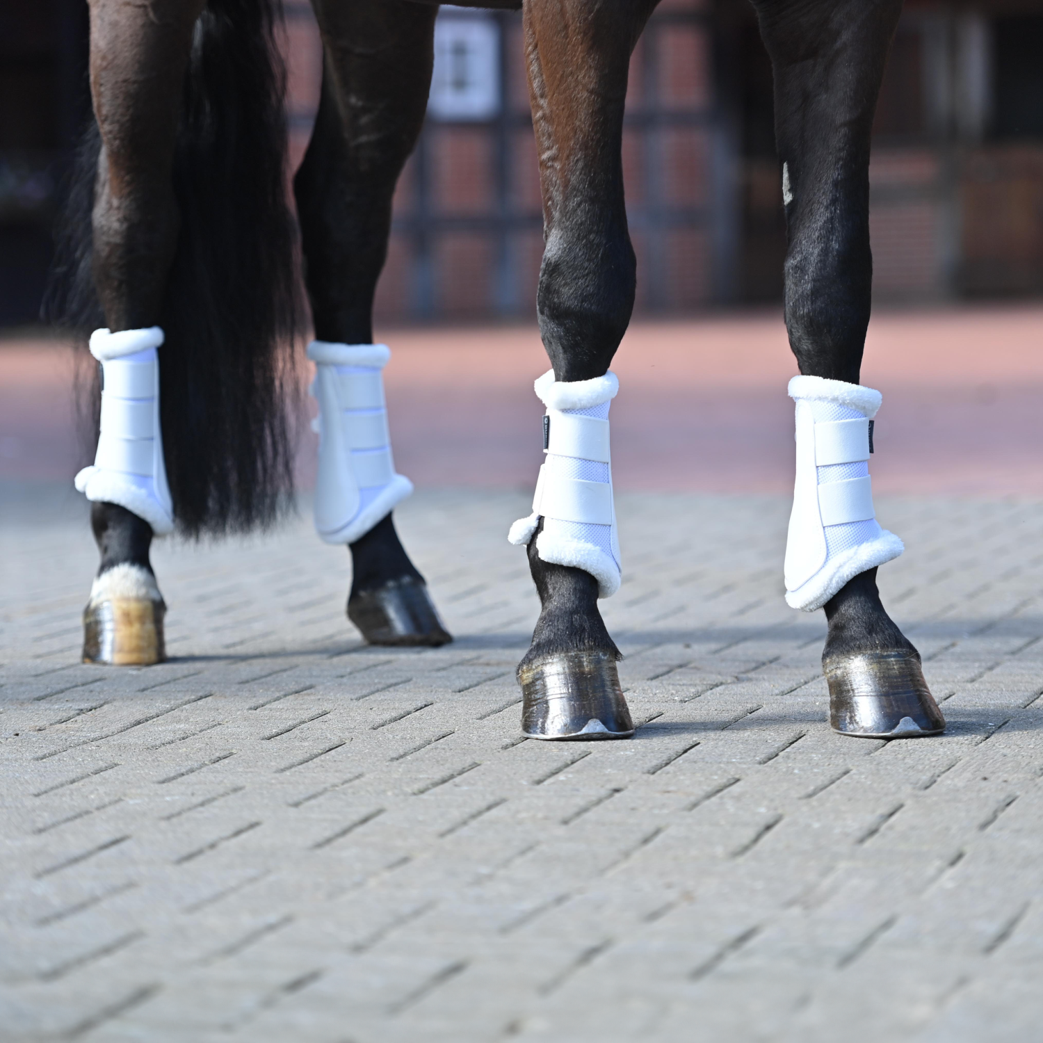 Breezy Plush gaiters