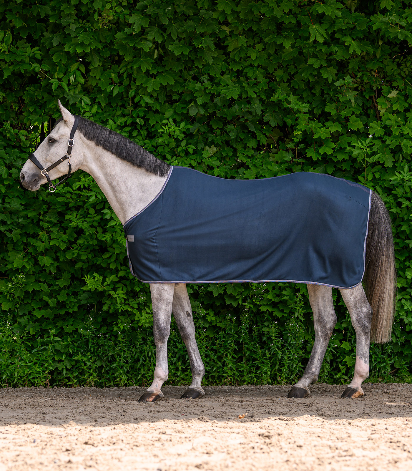 ECONOMIC Fleece rug, black, 075cm