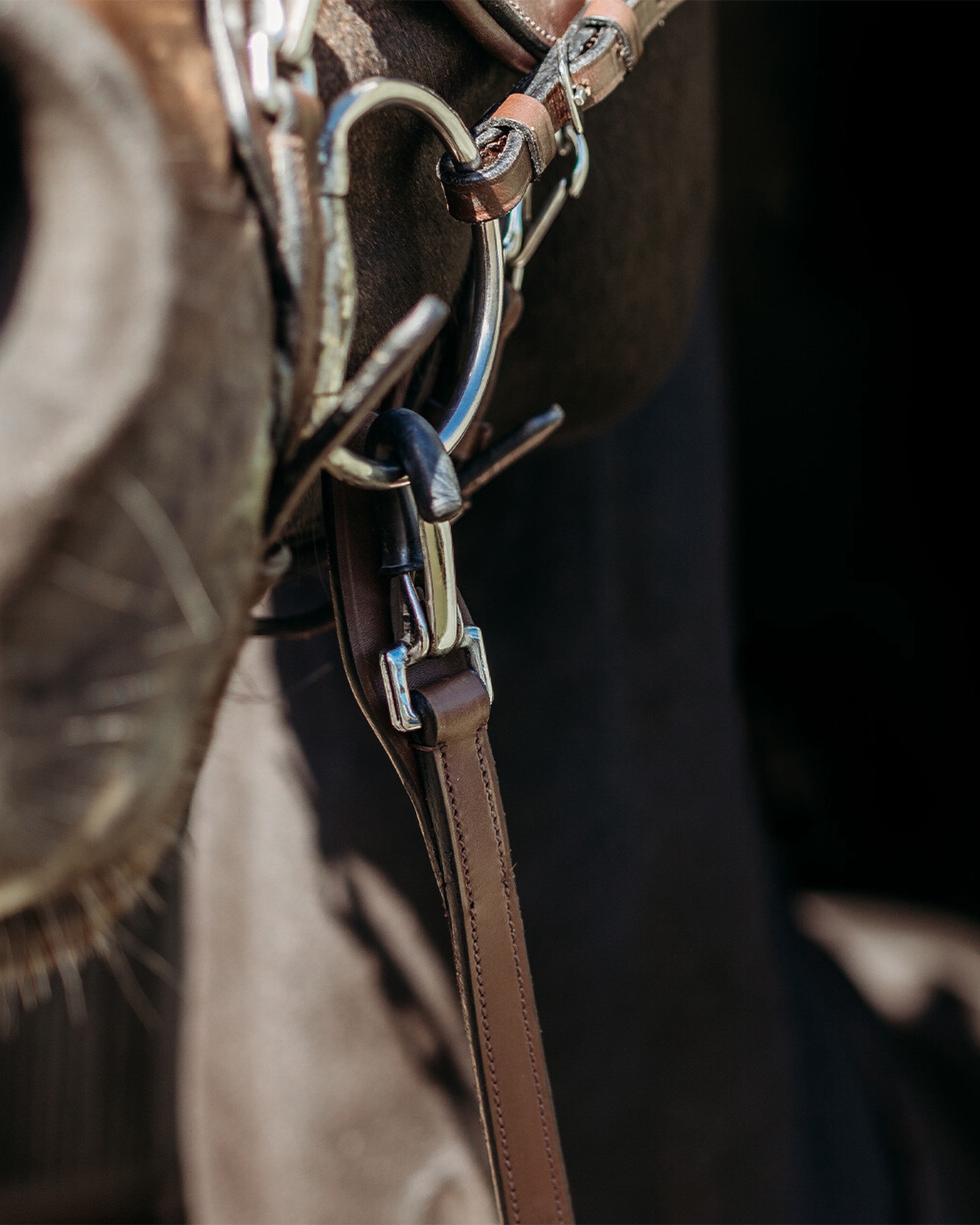 FayRein port reins with clip