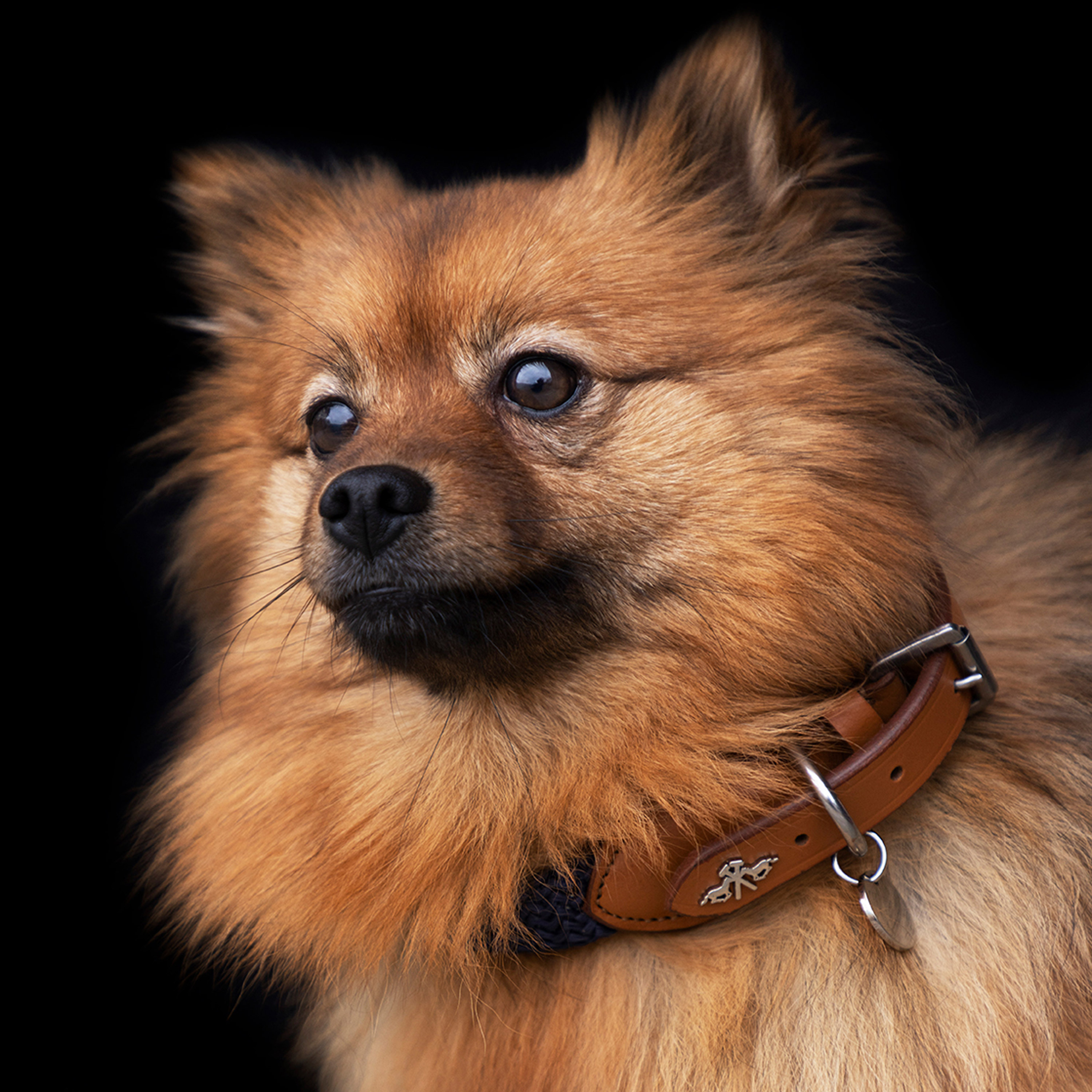 Hundehalsband Franka Rope