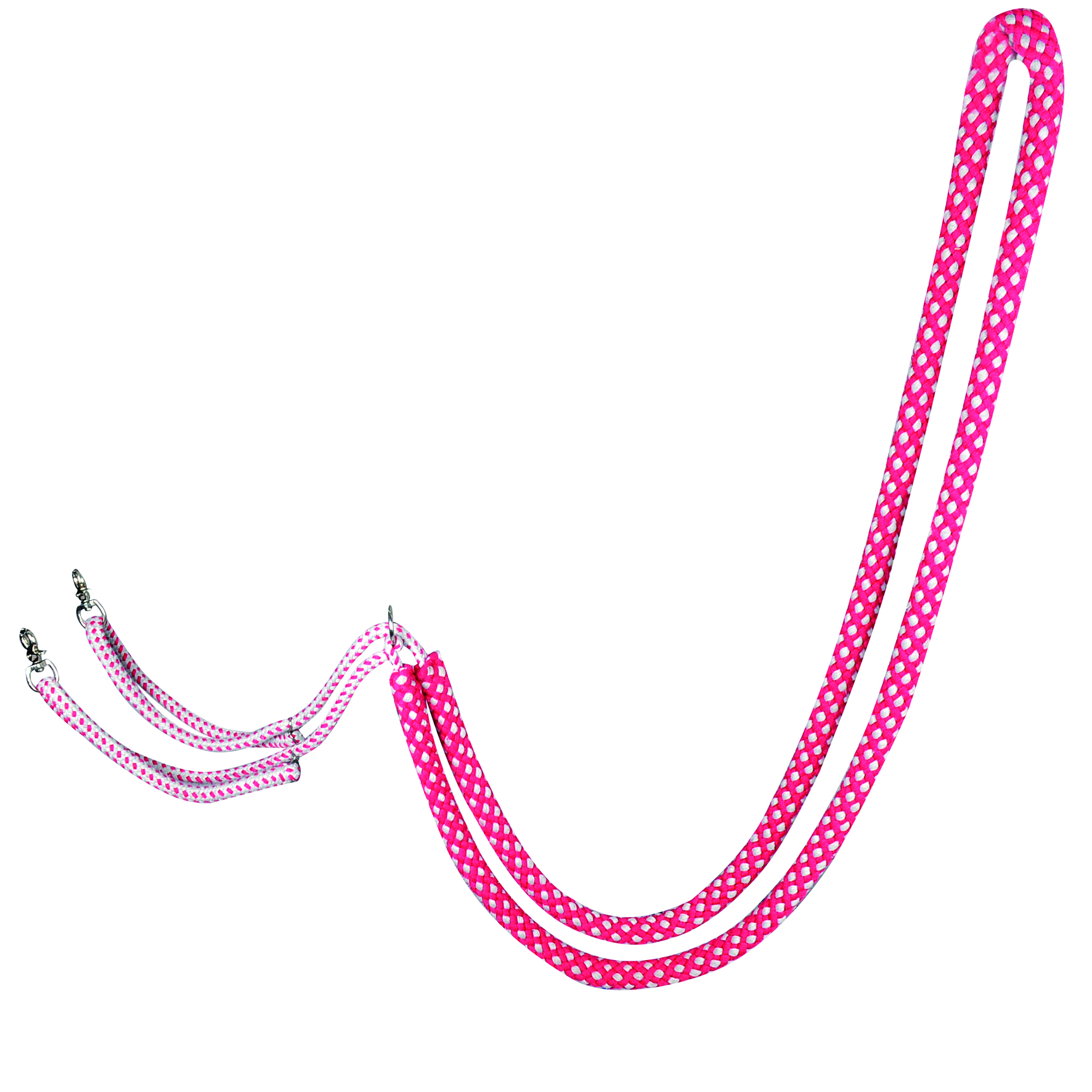 Lunging aid