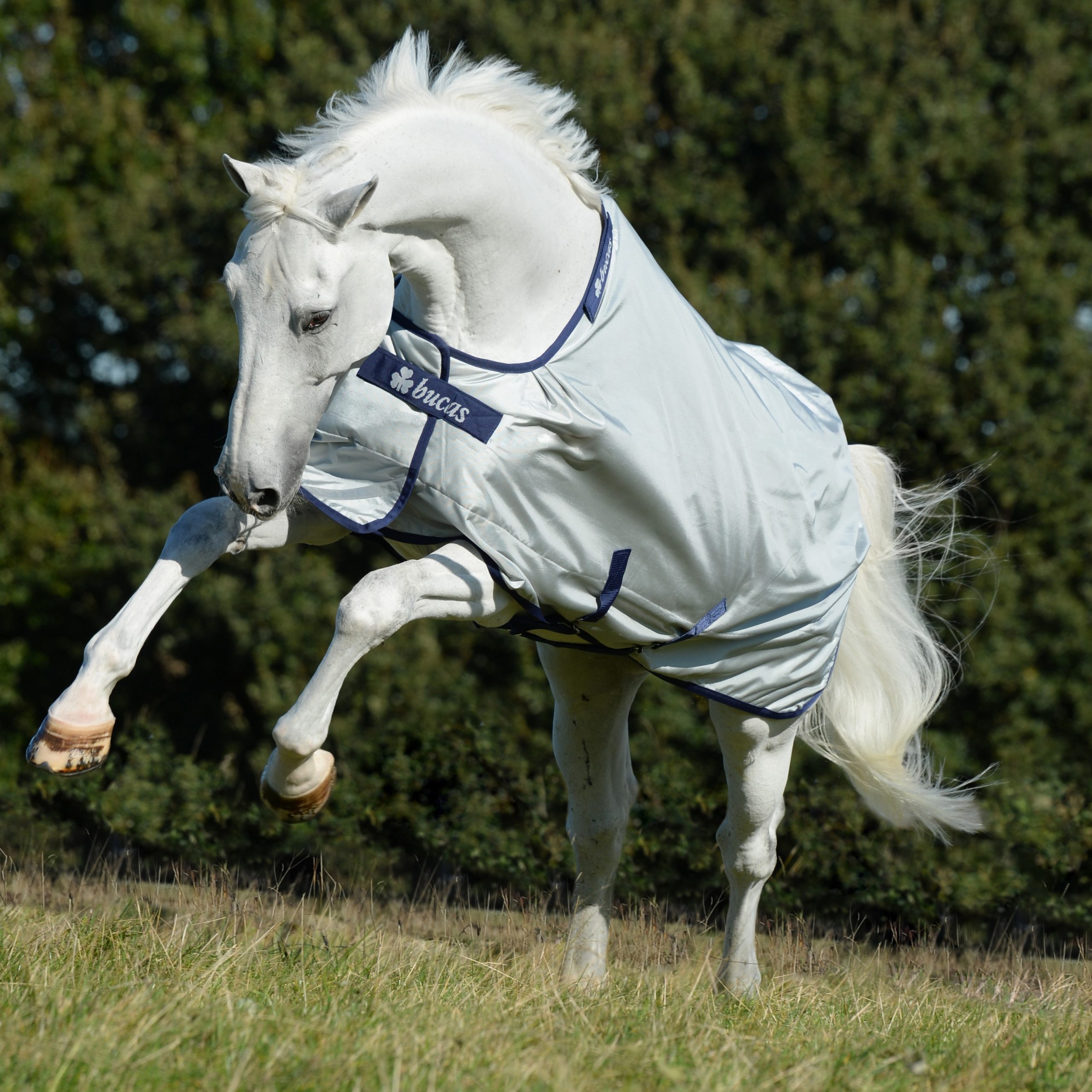 Outdoor rug Power Turnout Big Neck in silver