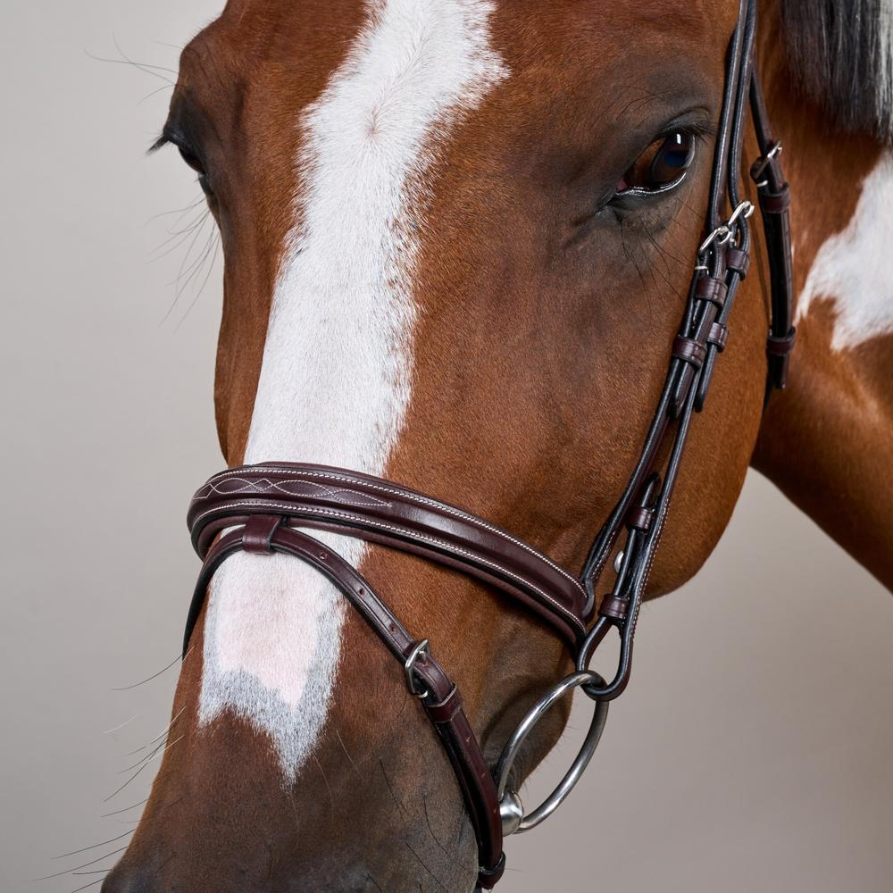 Trense mit kombiniertem Reithalfter US