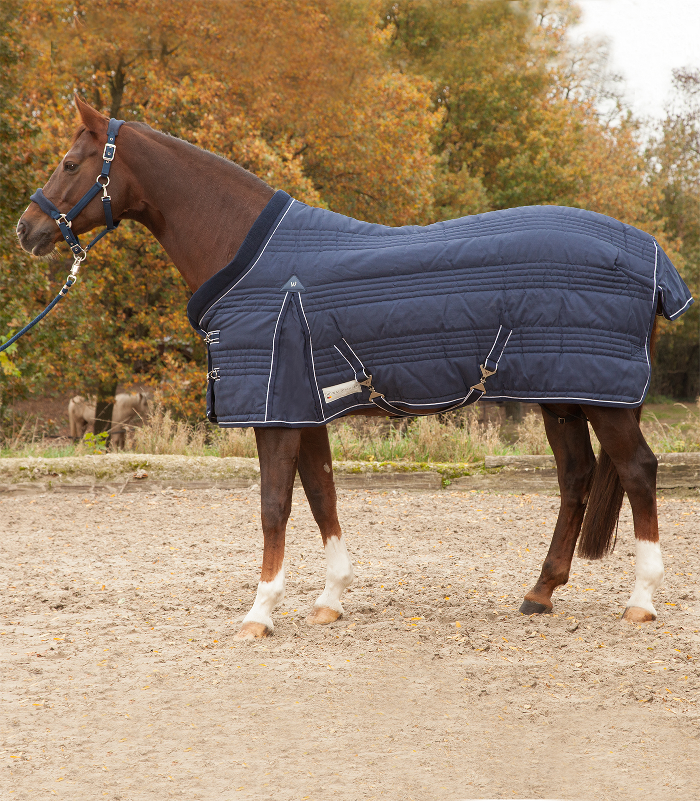 Comfort Line stable rug, 300 g