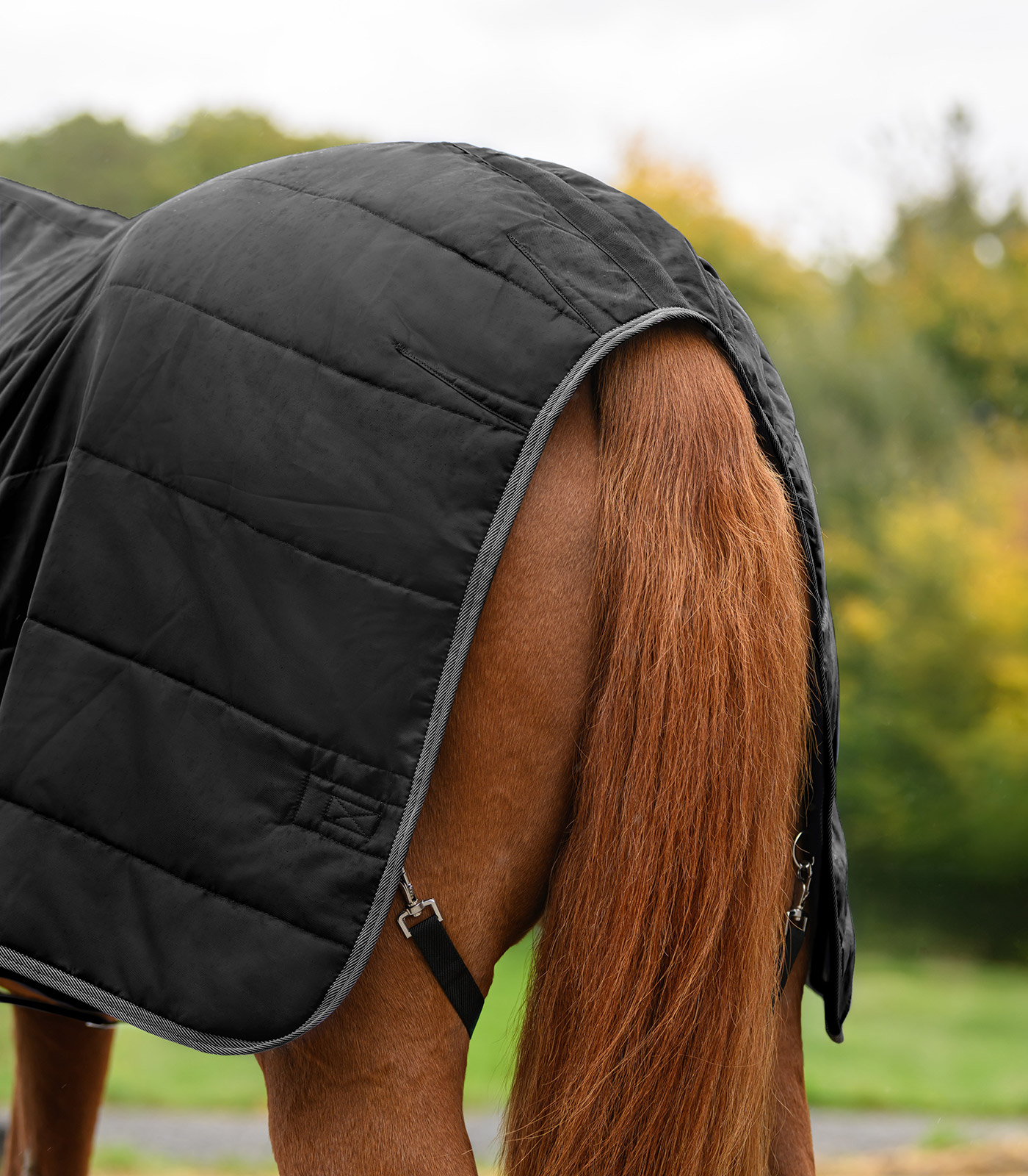 Couverture d'écurie ECONOMIC, 100 g