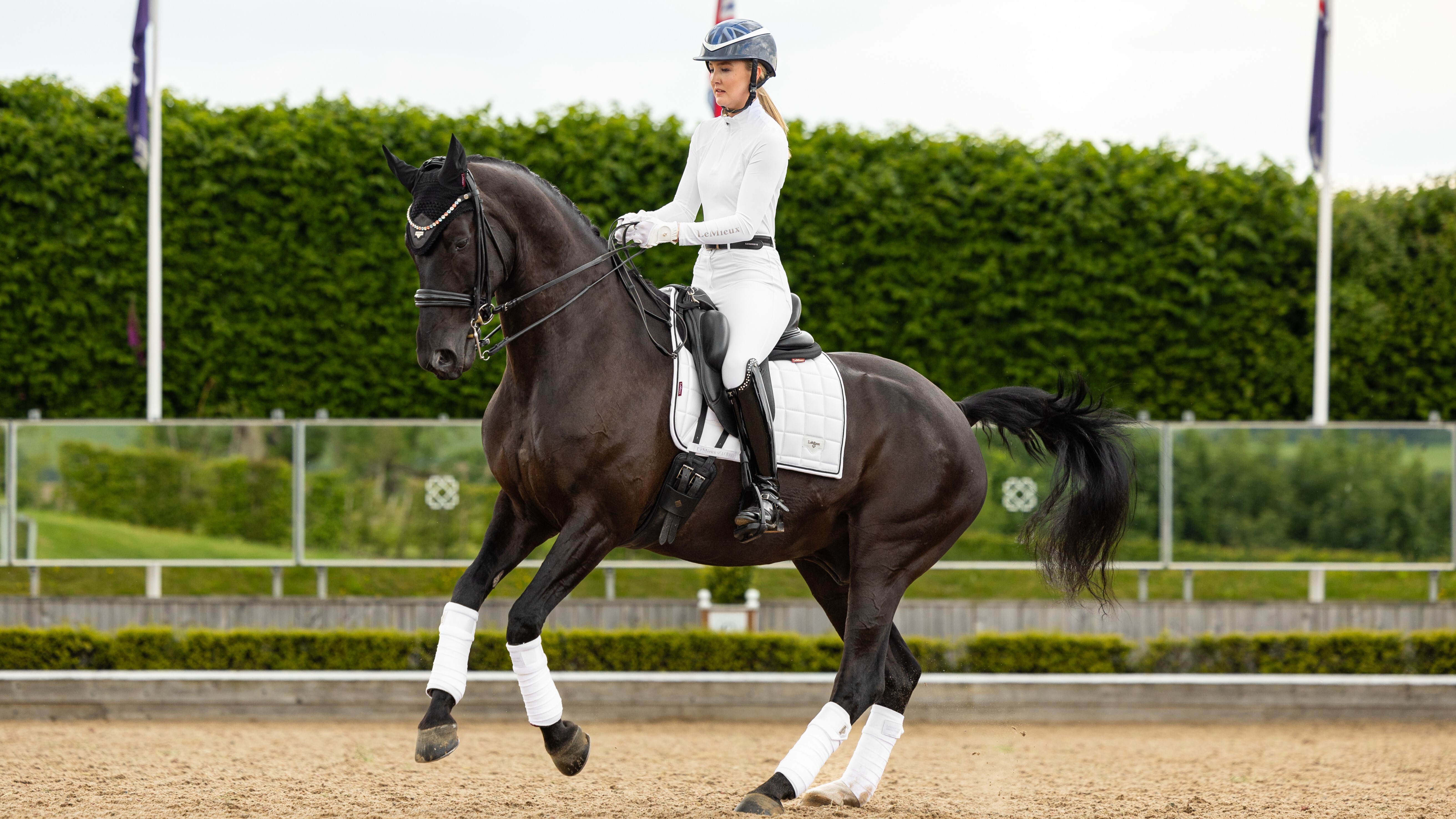 Loire Dressurschabracke