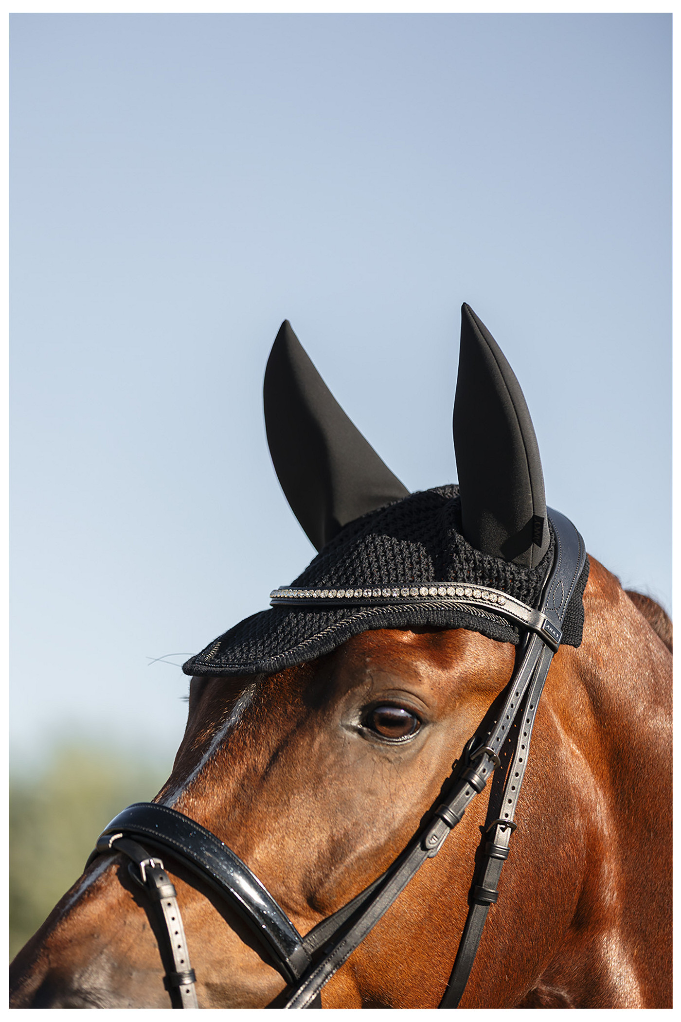 Ohrenhaube Perception ATB26005