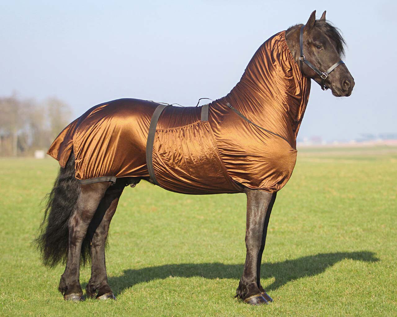 Ekzemerdecke Big Neck