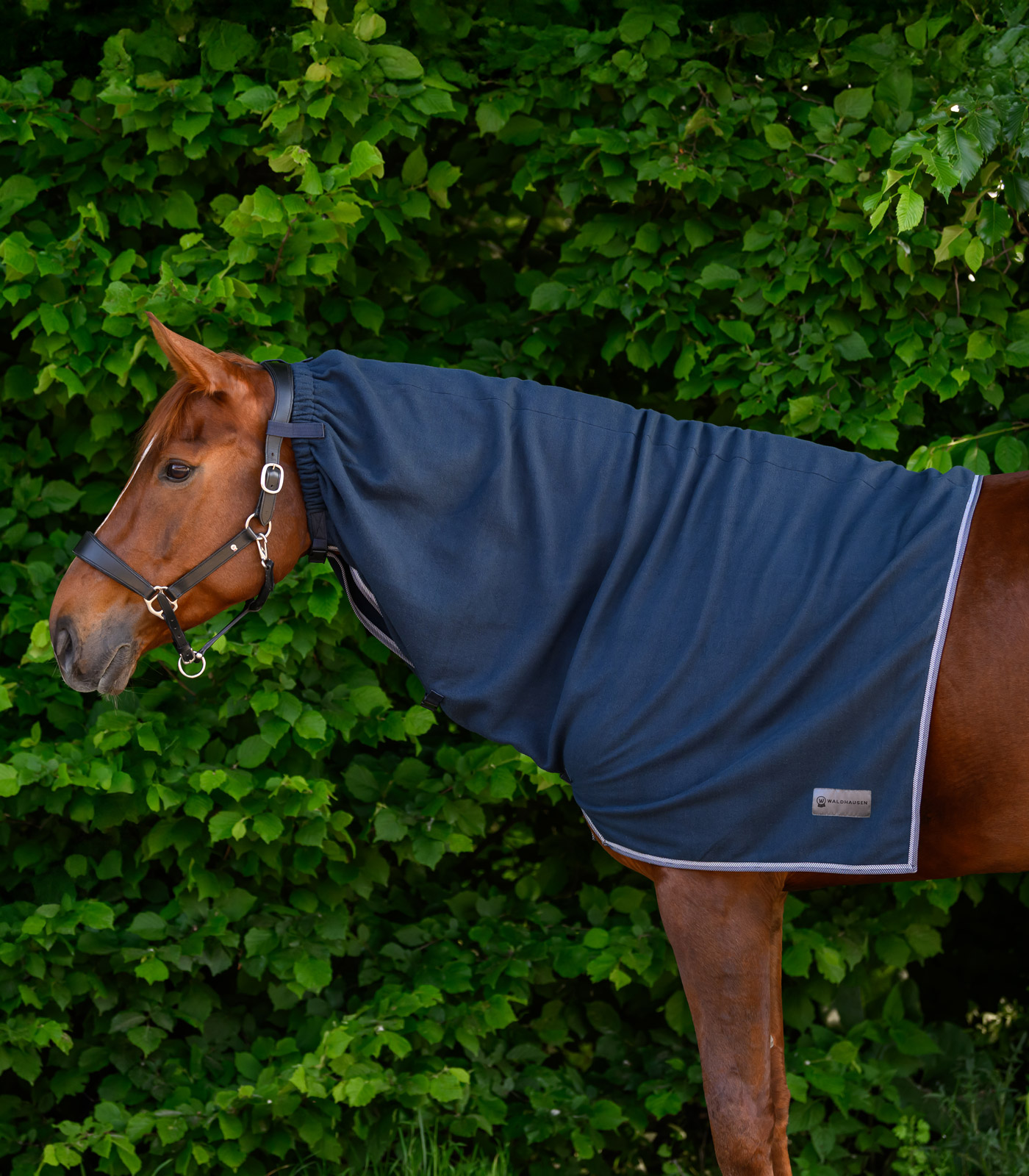 ECONOMIC Fleece neck rug