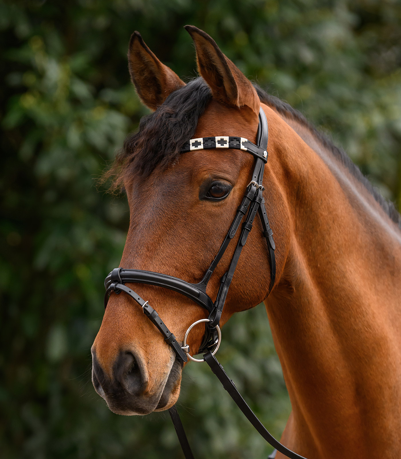 X-Line Stirnband Polo, schwarz