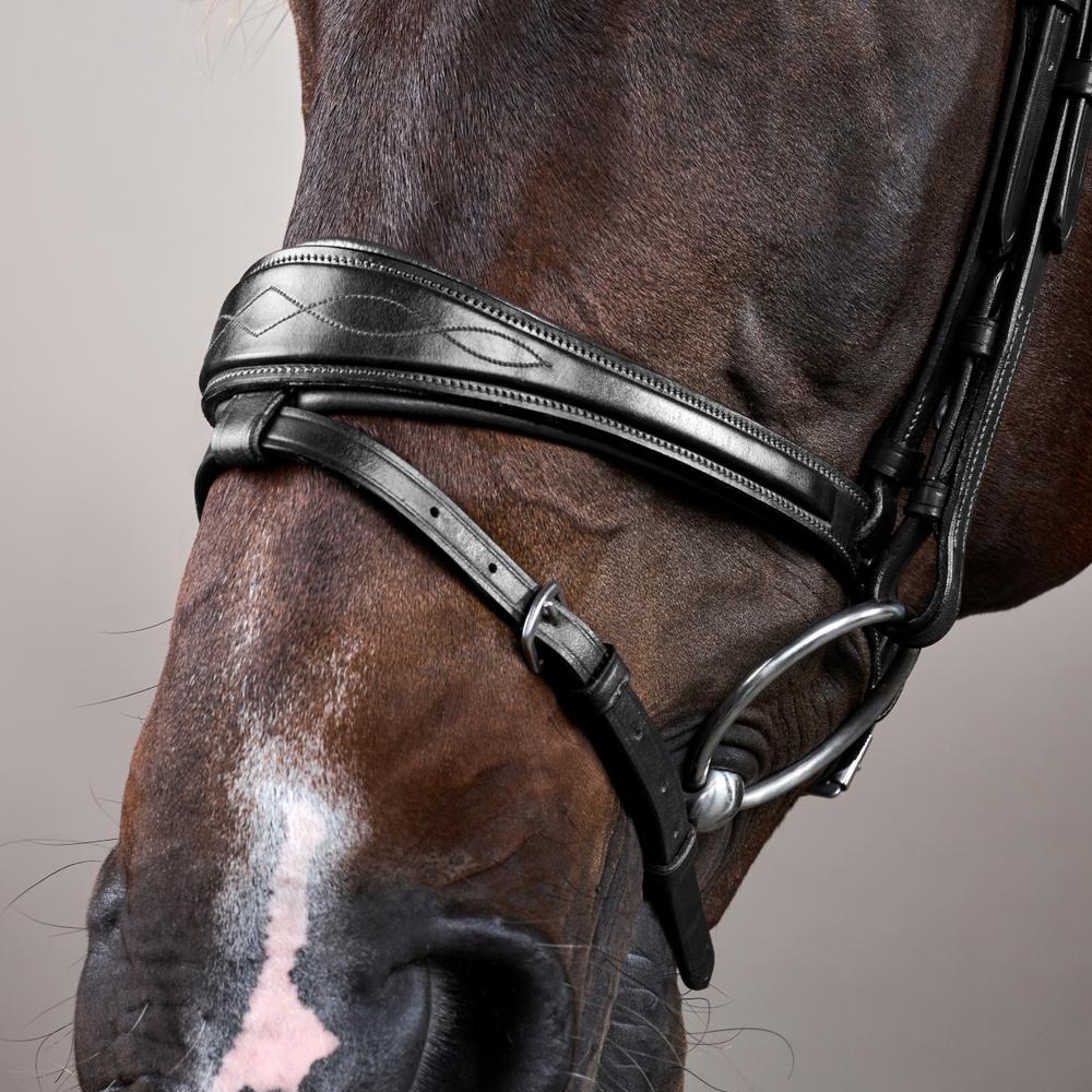 Anatomische Trense mit kombiniertem Reithalfter NE