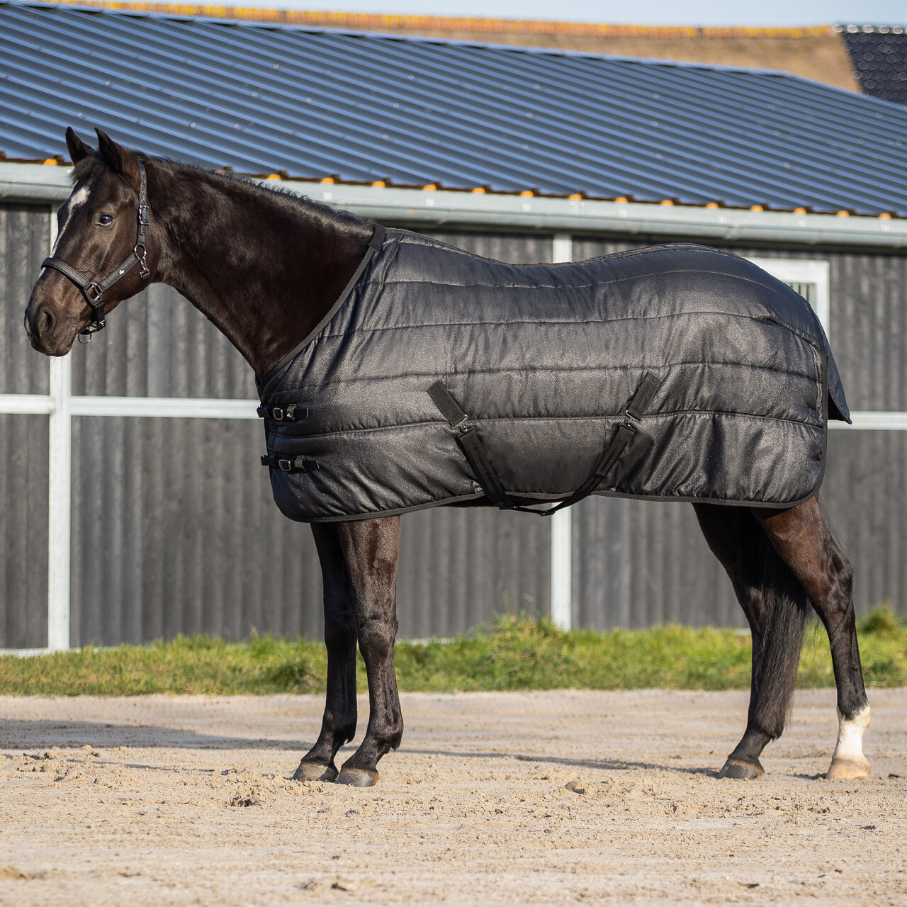 Stalldecke Glitter 150gr