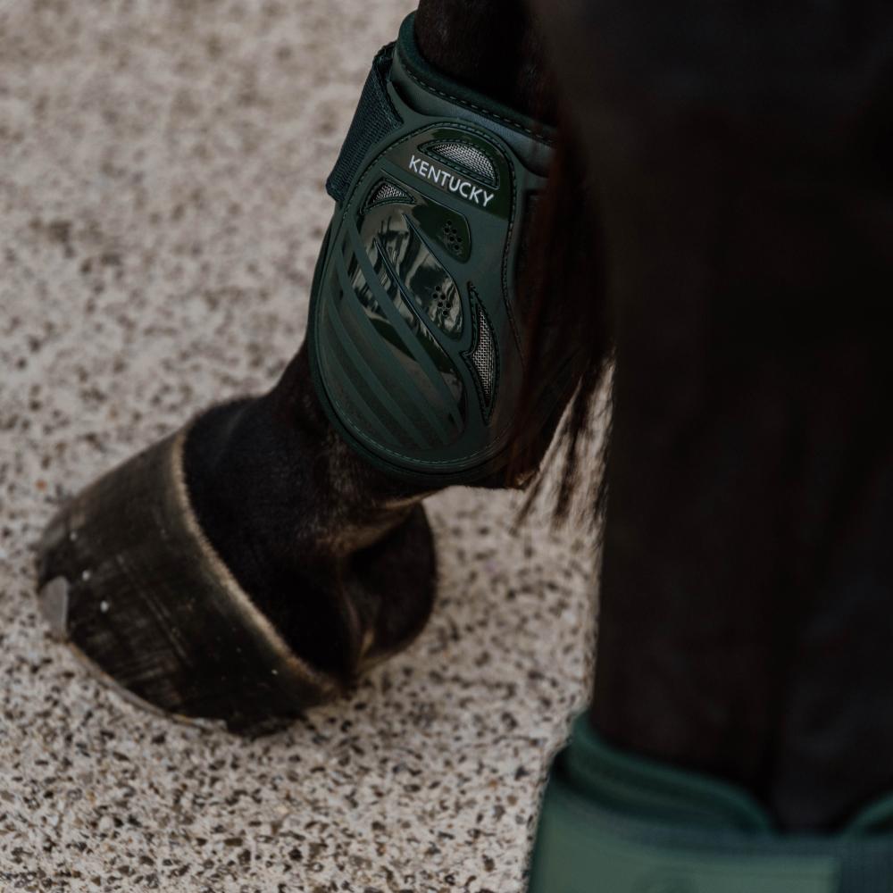 Fetlock boot Young Horse