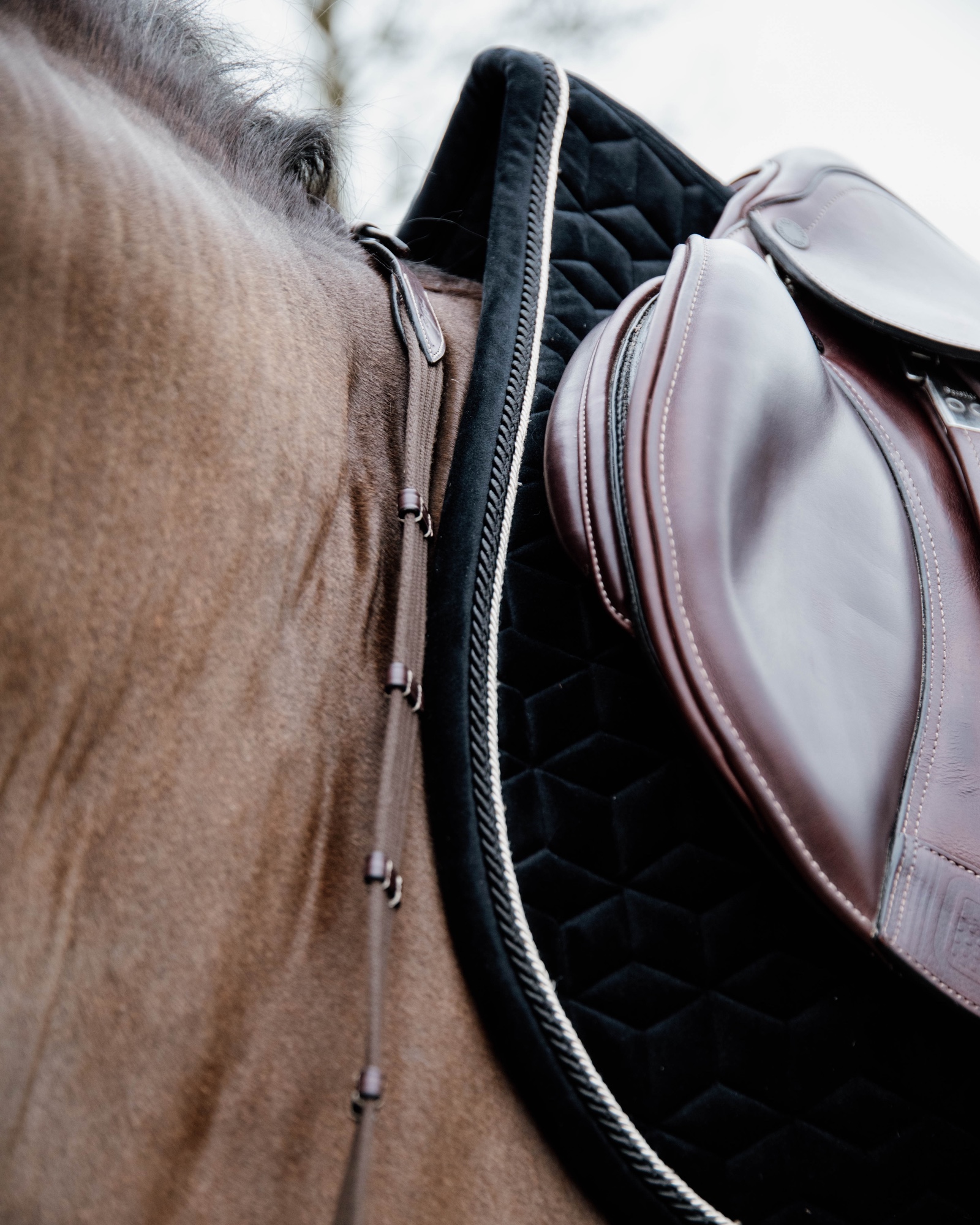 Jumping saddle pad Basic Velvet