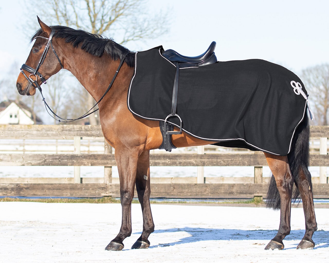Riding rug fleece with ornament