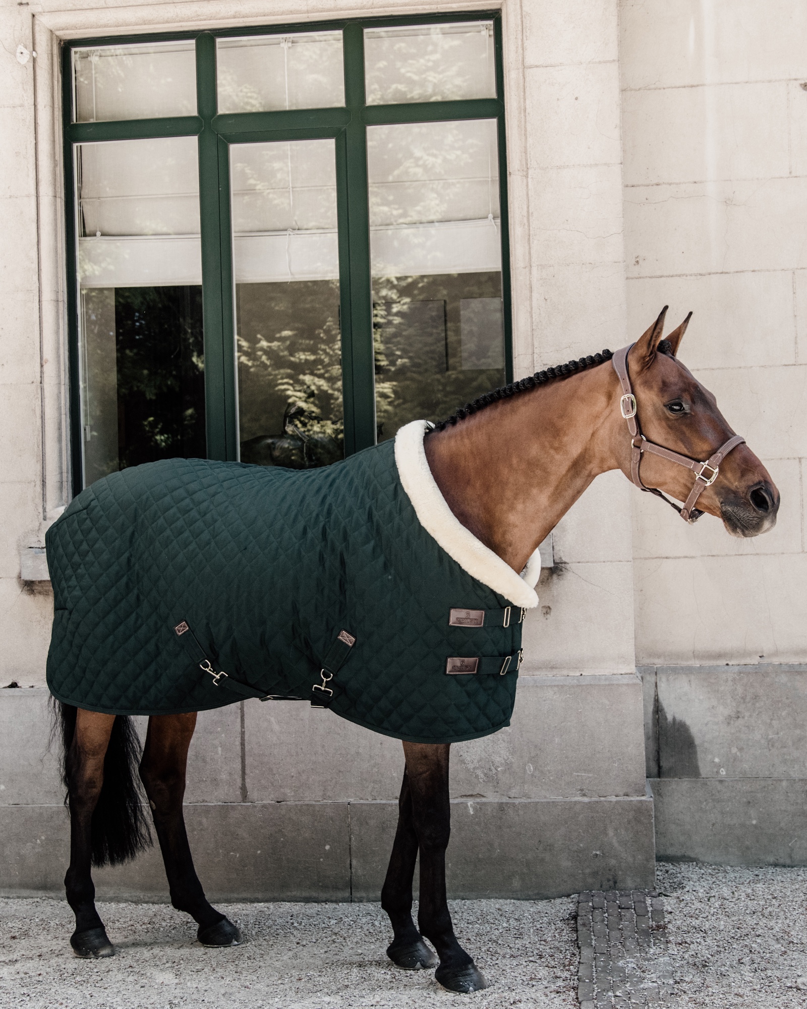 Show rug Show Rug 160g