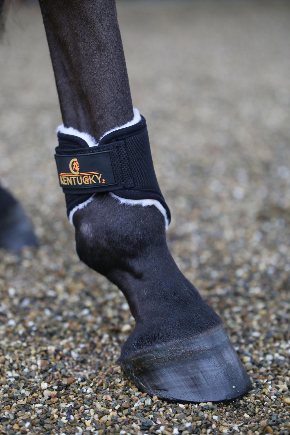 Solimbra back fetlock boot