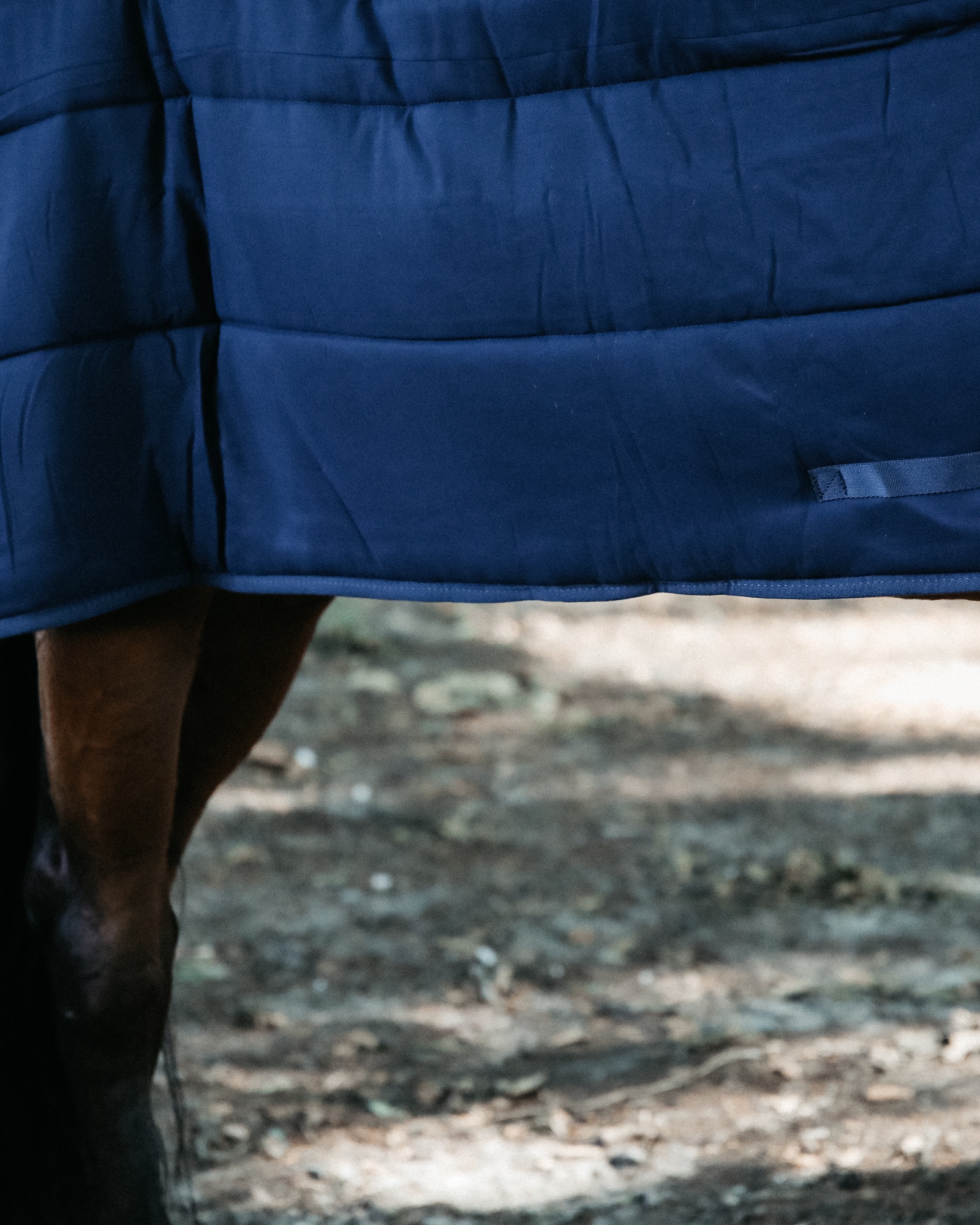Down duvet horse 300g