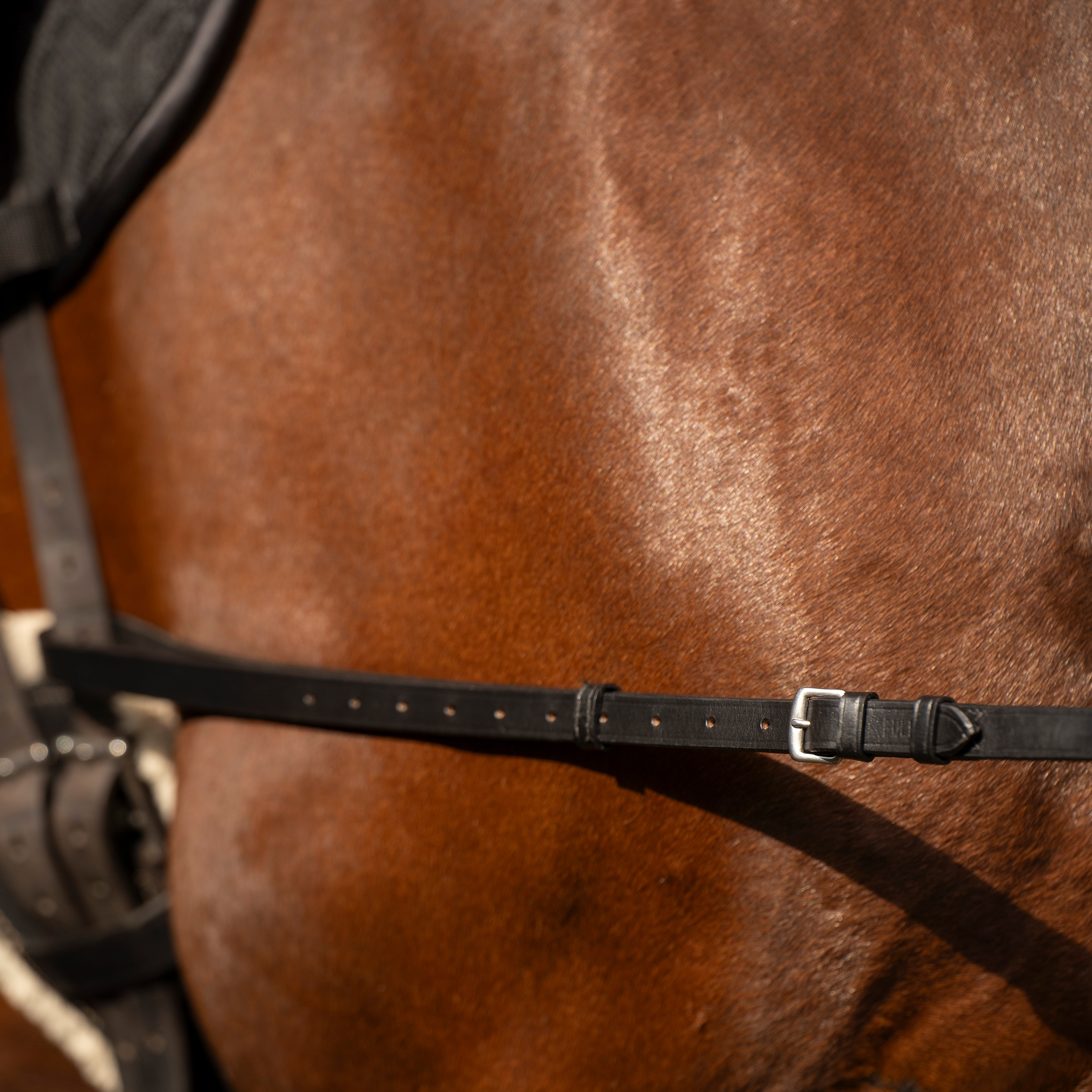 Ausbinder Leder Core