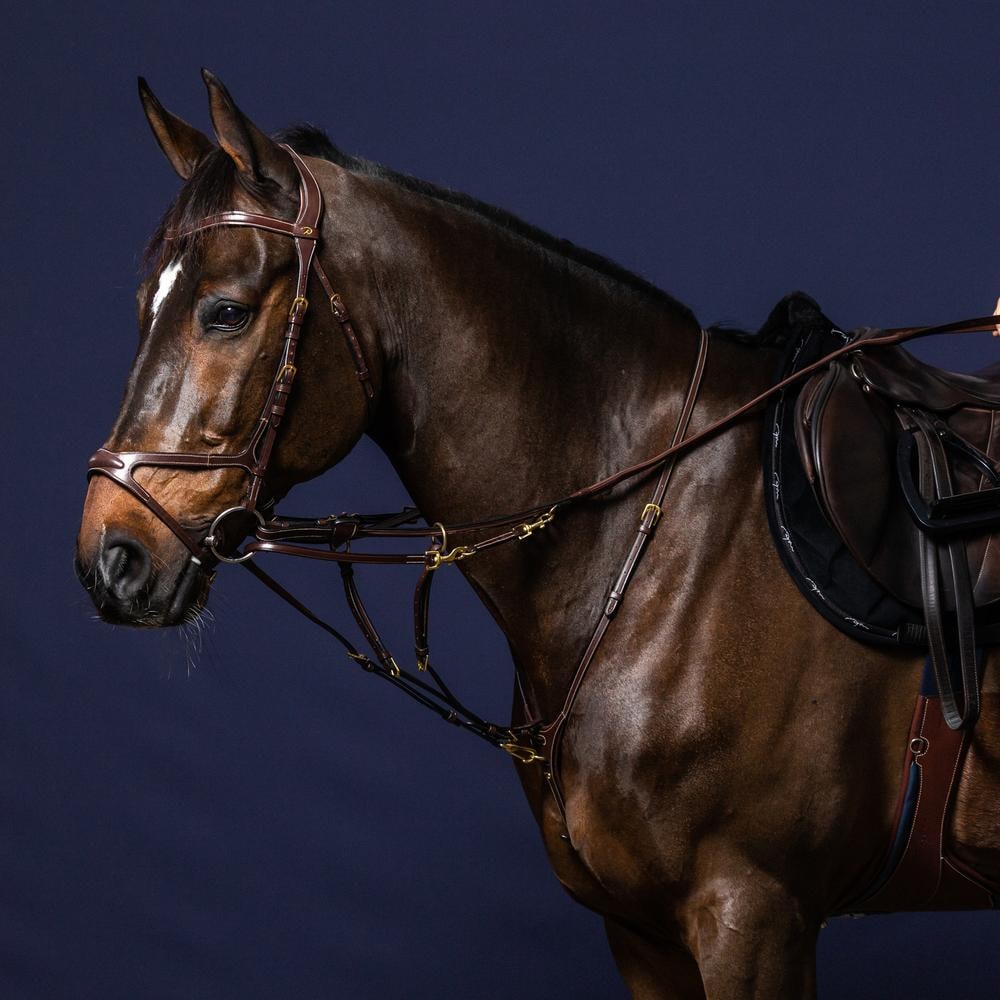 Howlett Verbindungsstück | Dy'on