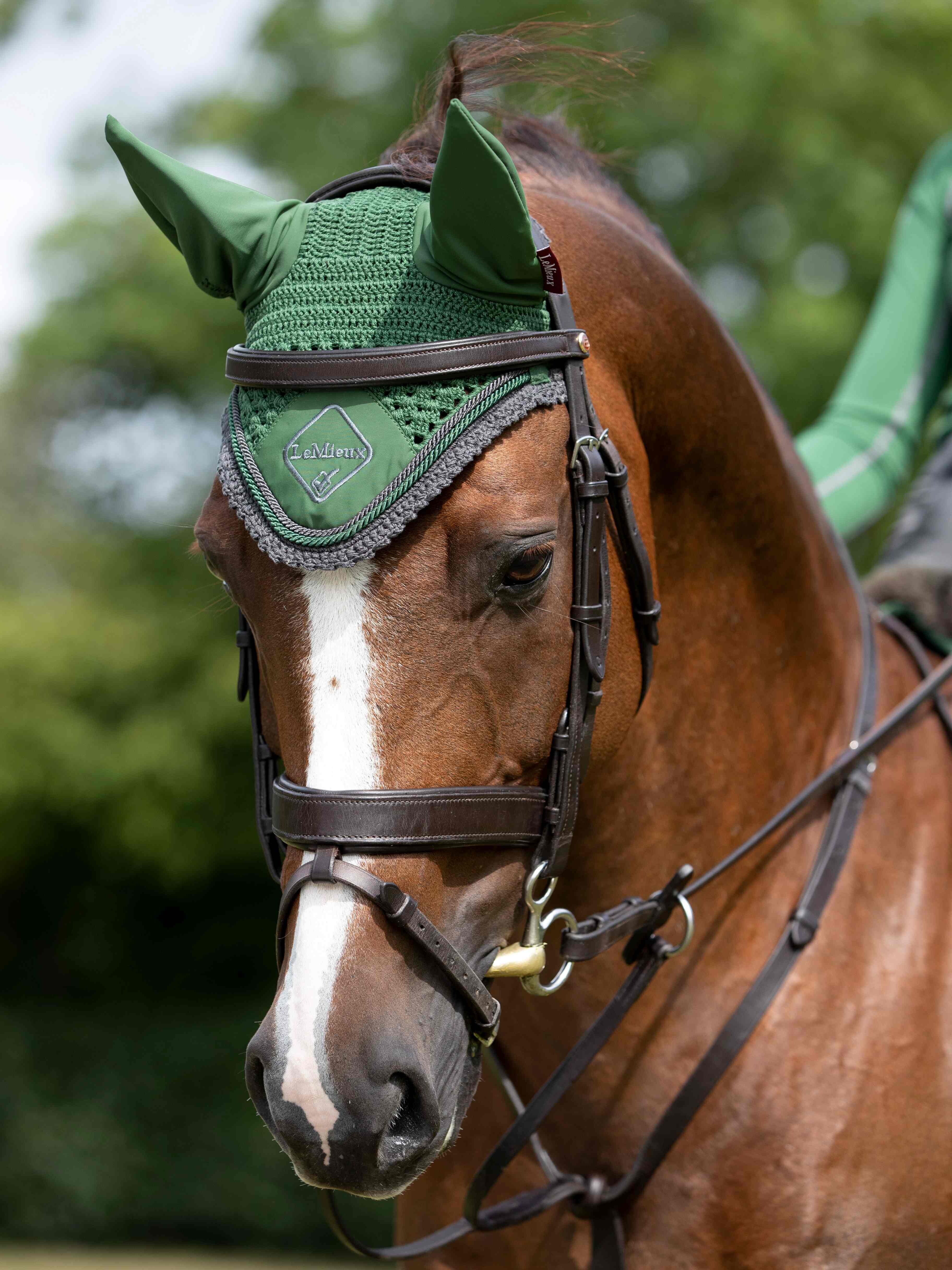 Classic ear bonnet