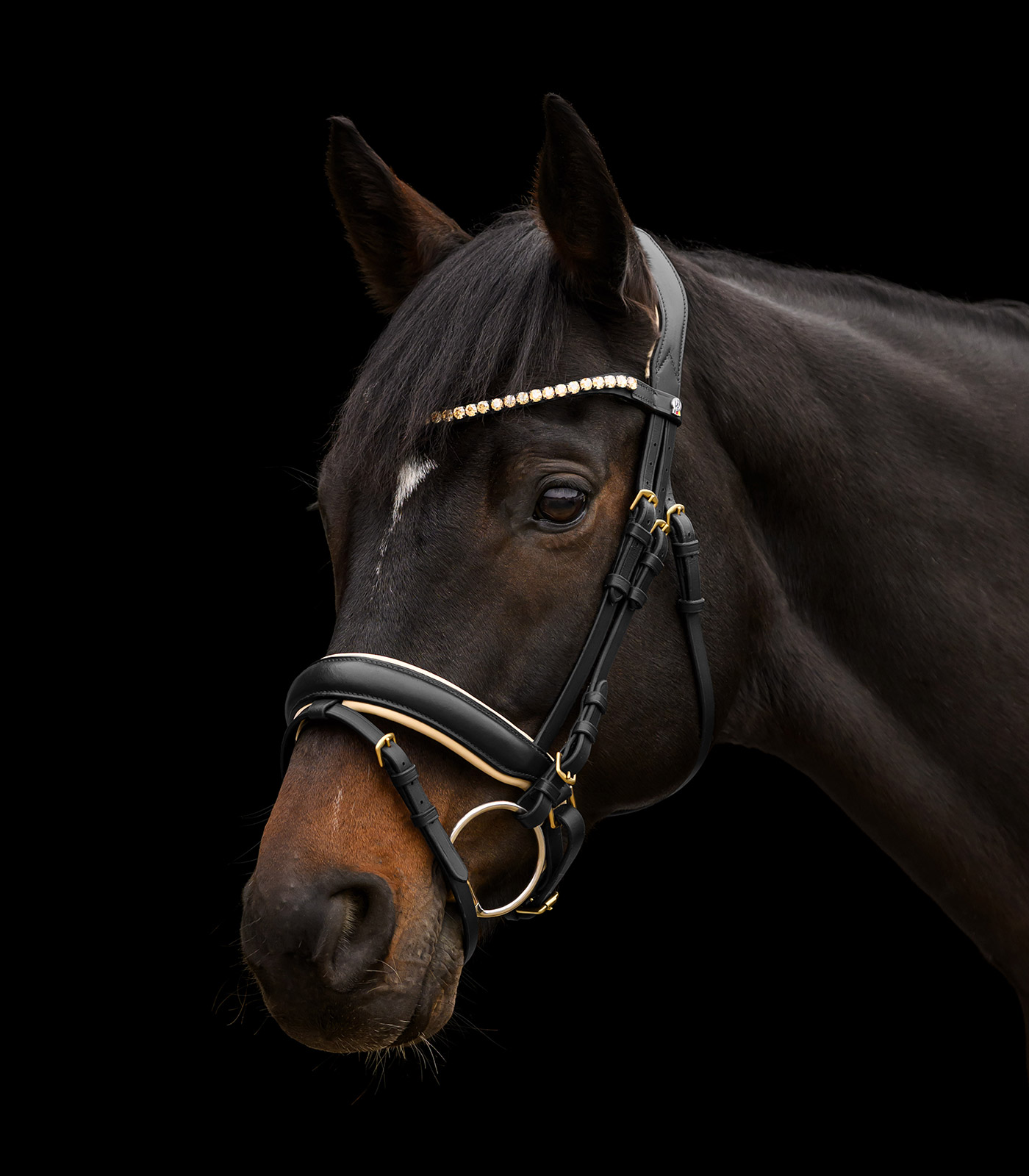 Trensenzaum X-Line Ivory, schwed.komb.