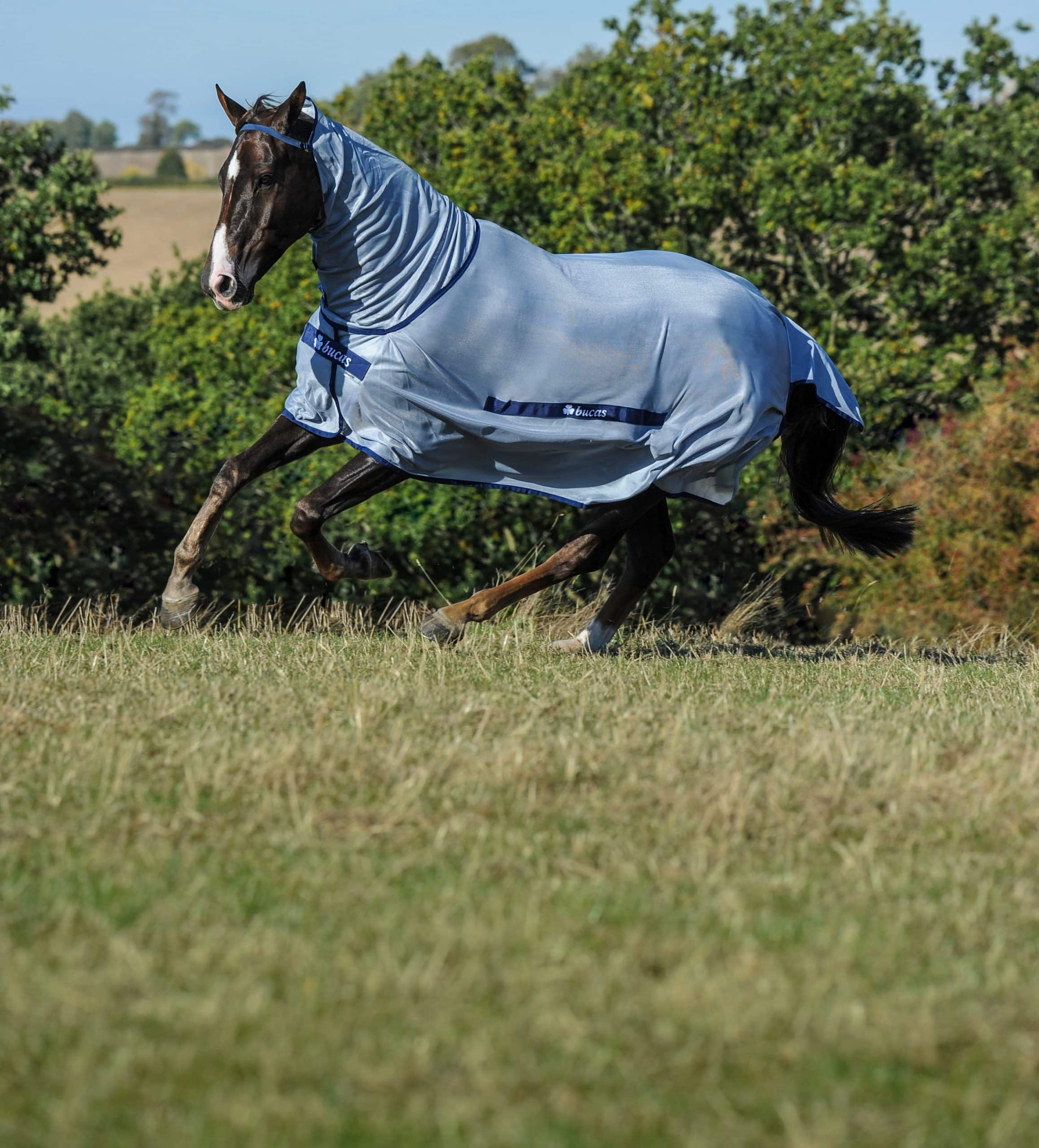 Fly rug Buzz-Off & Neck in Blue