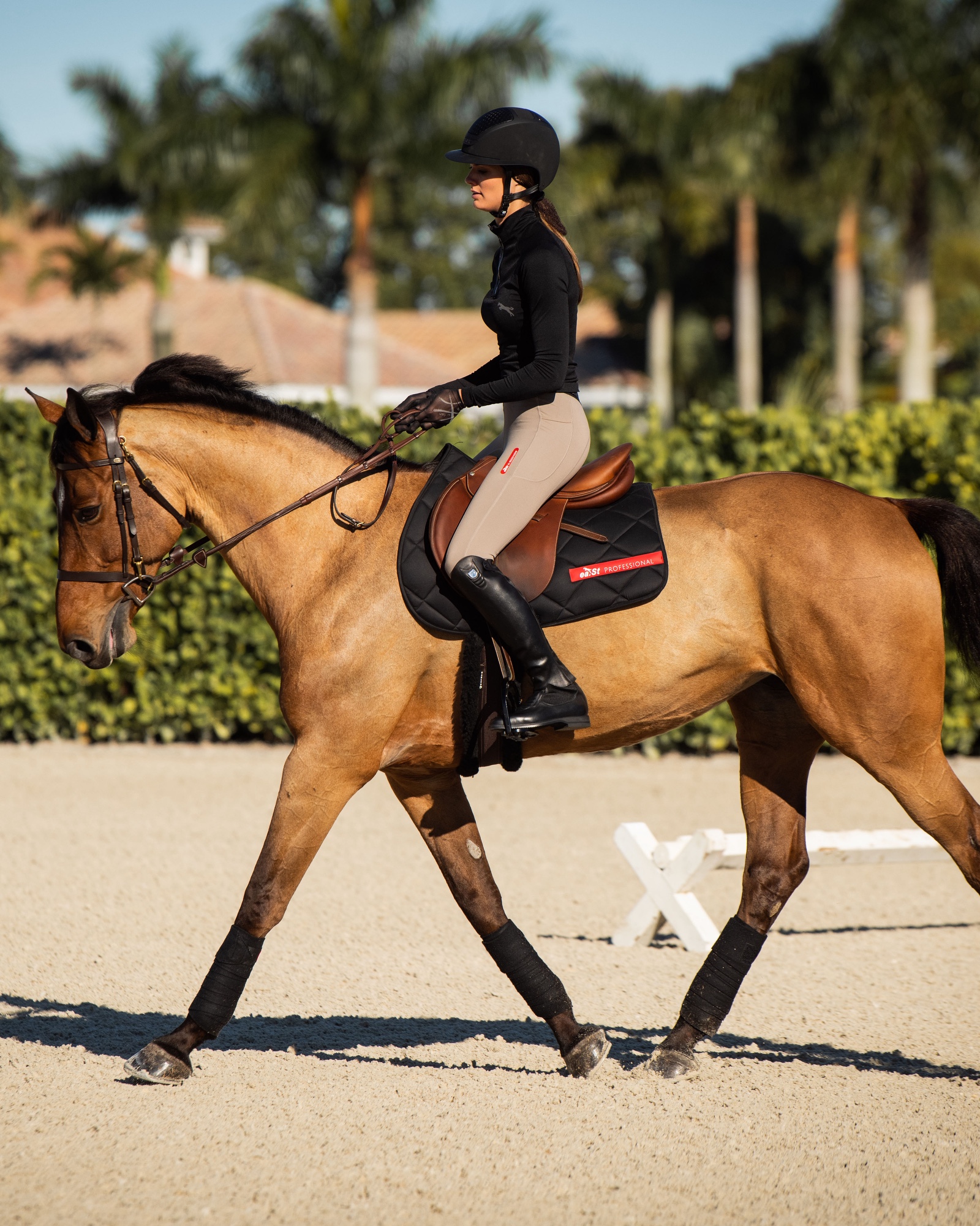 Ladies riding leggings REGGINGS® R1 Ladies riding leggings REGGINGS® R1