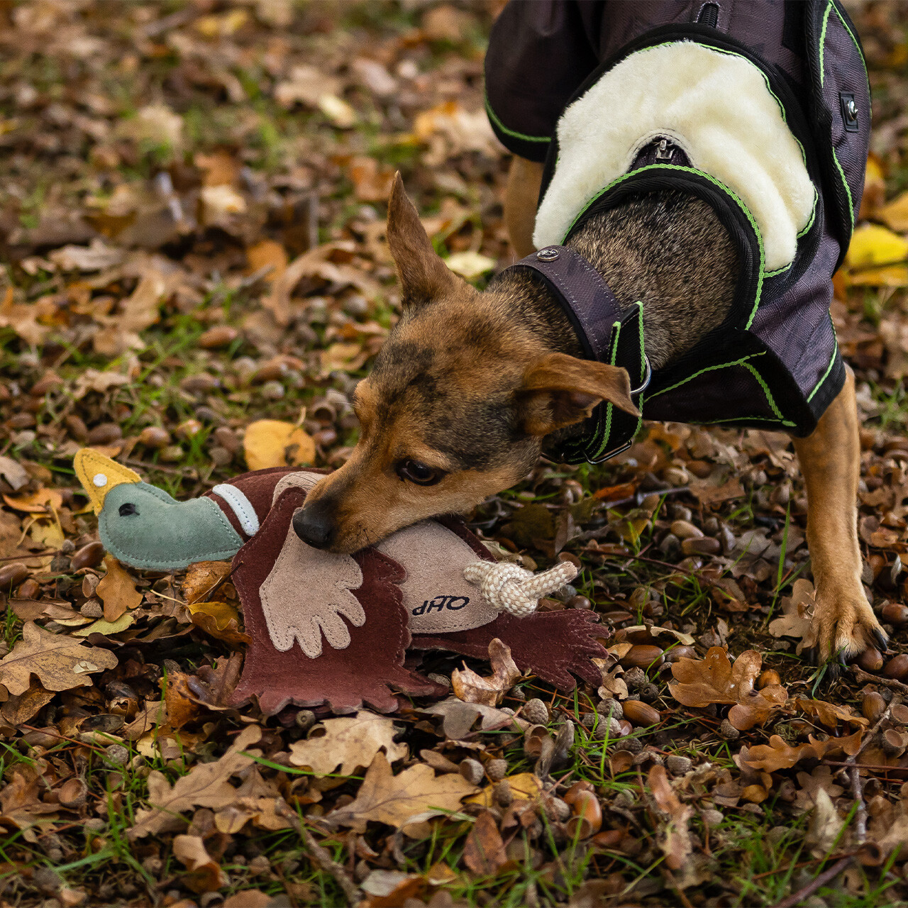 Hundespielzeug ente