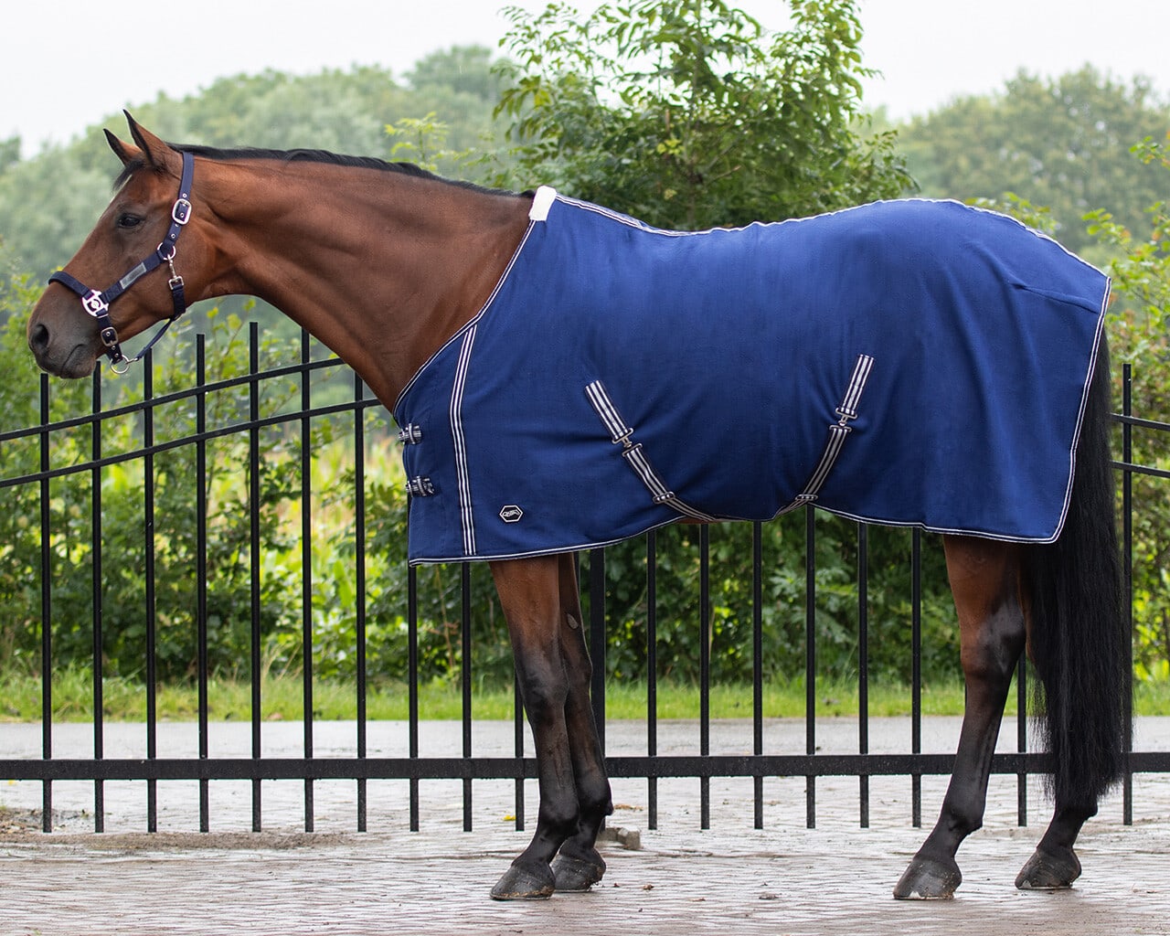 Basic sweat rug with cross surcingles