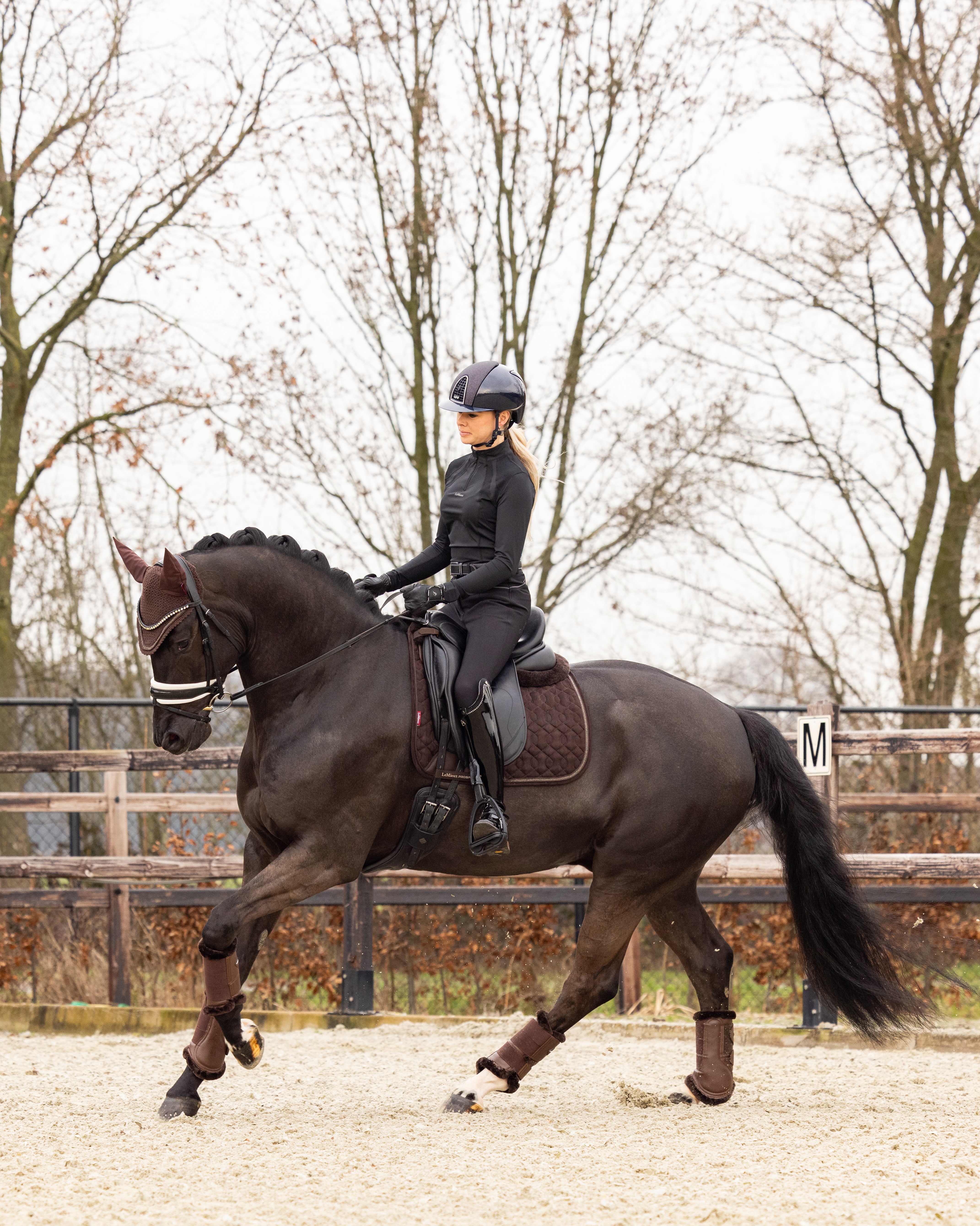 Saddle pad Crystal