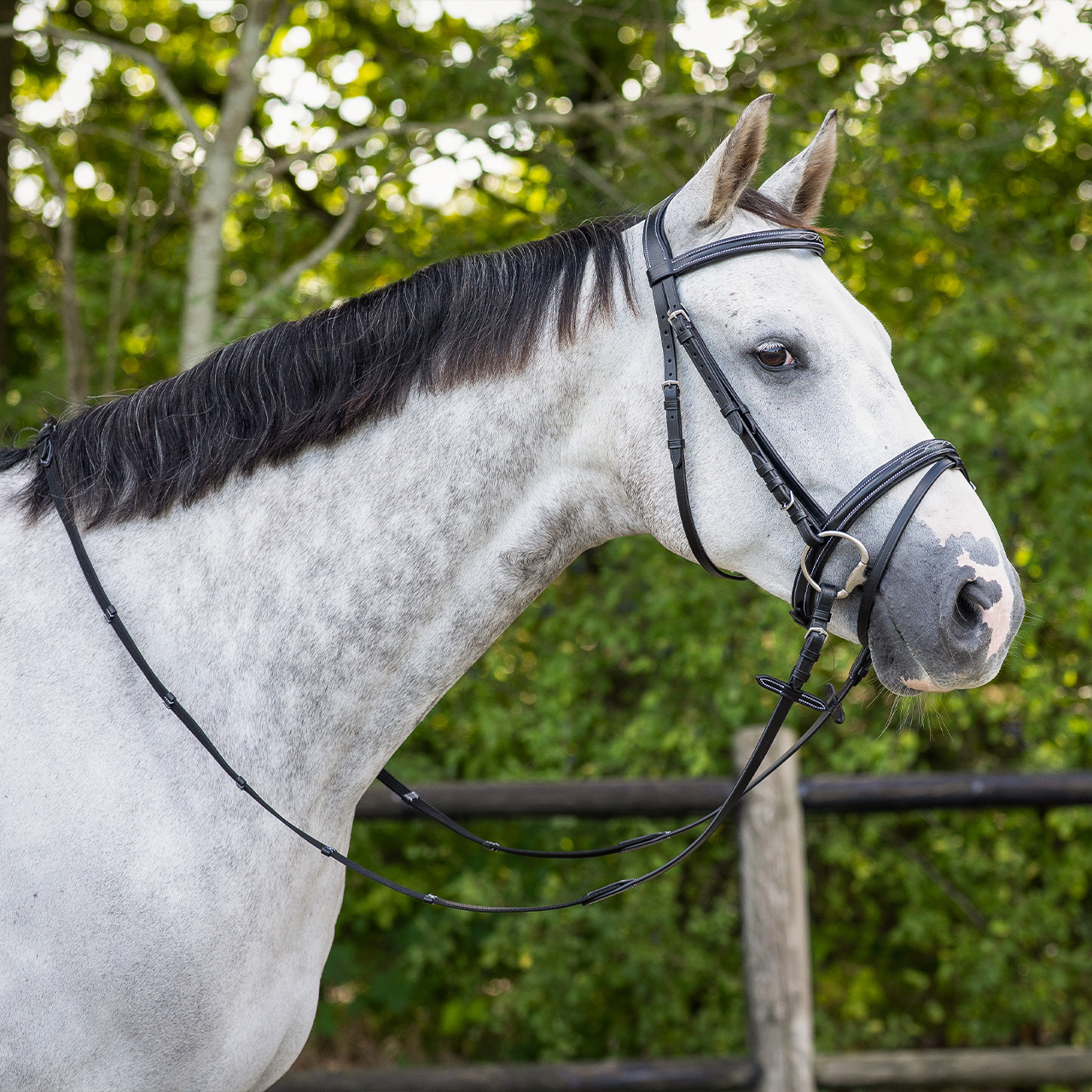 Snaffle with luxury stitching